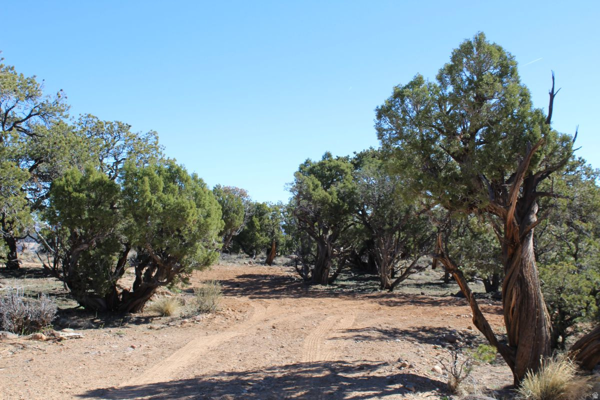 BLACK BOULDER MESA - Land