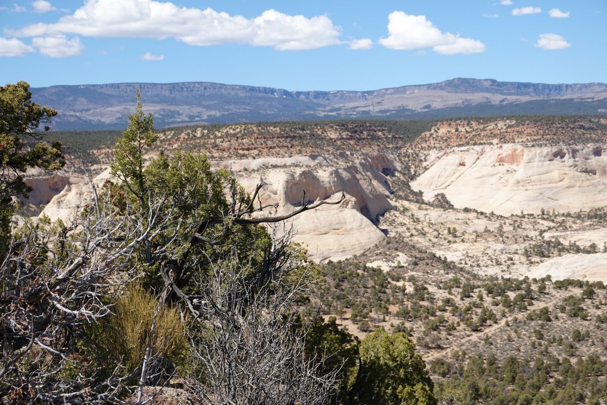 BLACK BOULDER MESA - Land