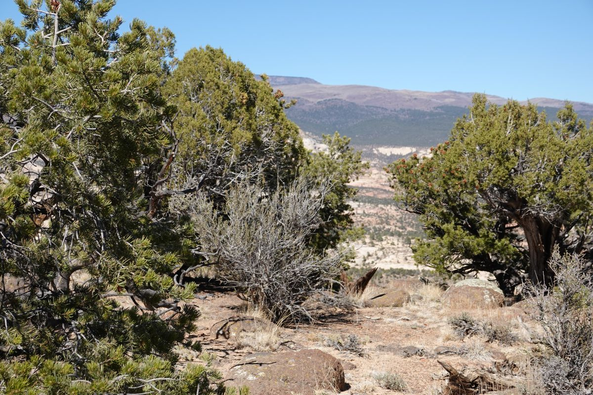 BLACK BOULDER MESA - Land