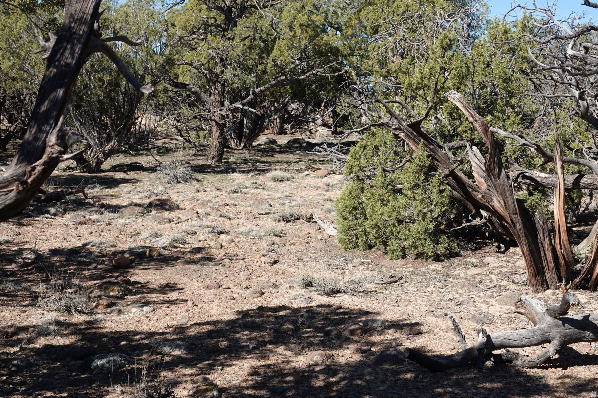 BLACK BOULDER MESA - Land