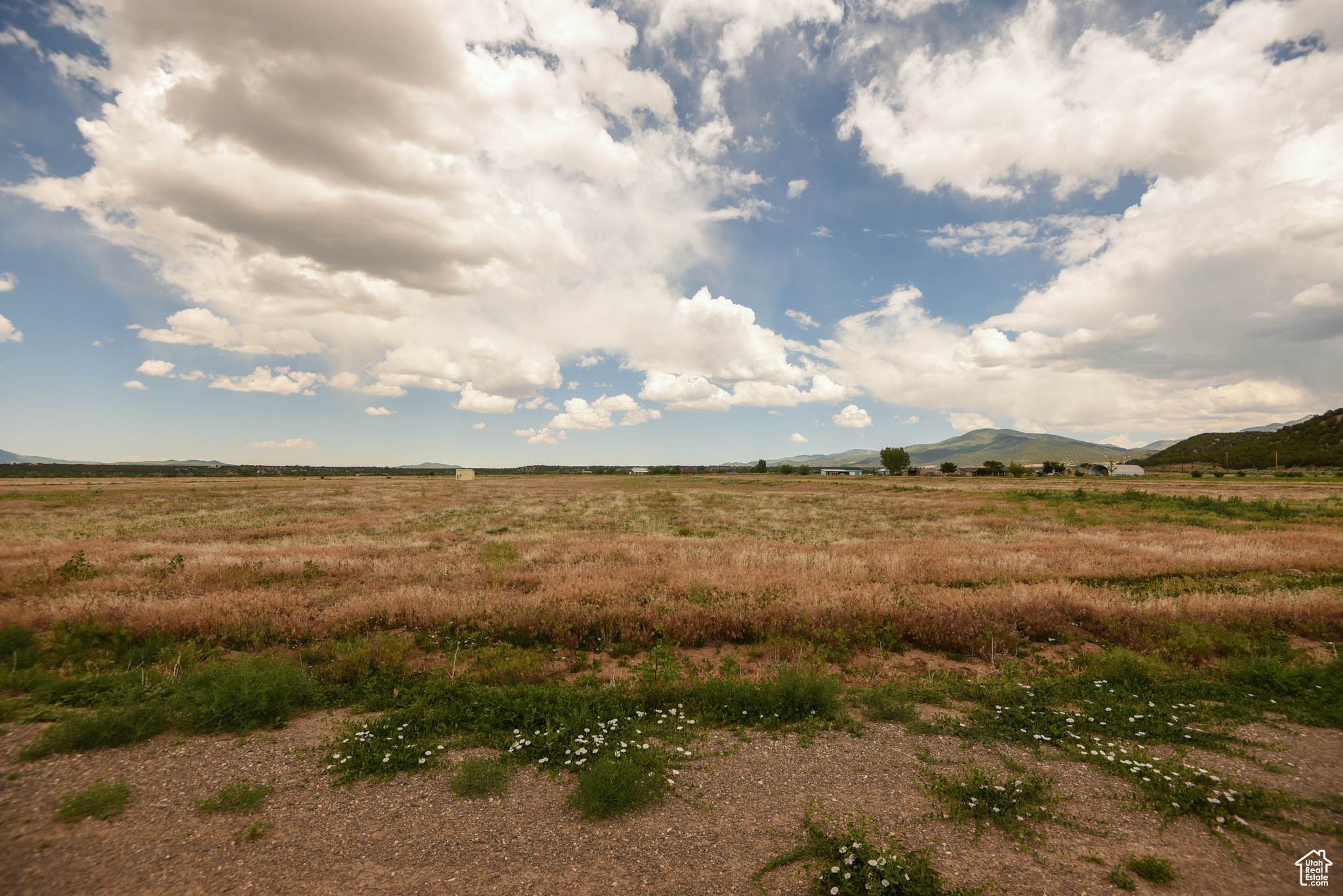 MINERAL VIEW ESTATES - Land