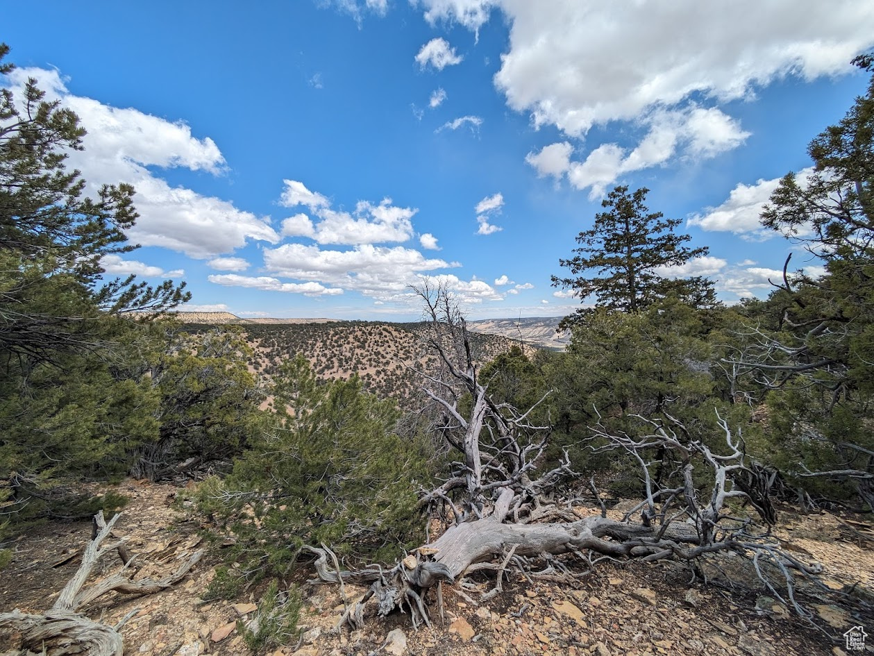 CEDAR MT - Land