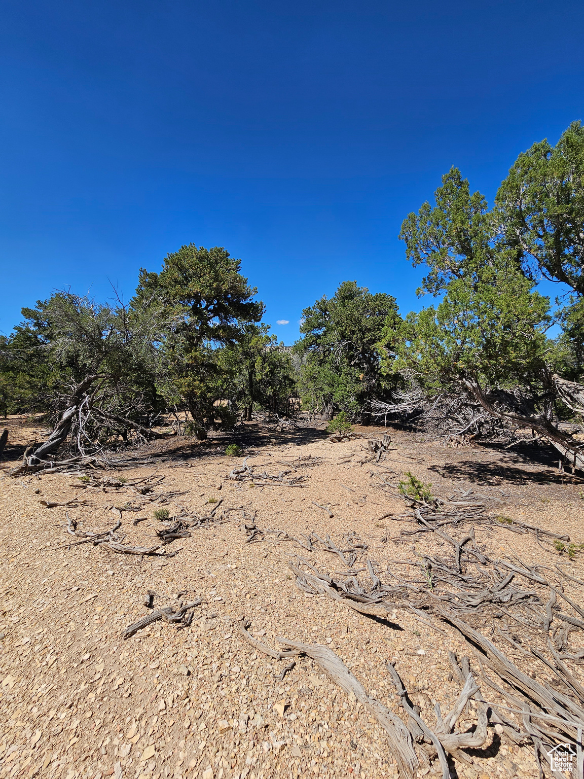 CEDAR MT - Land