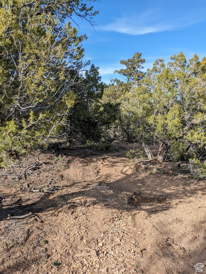CEDAR MT - Land