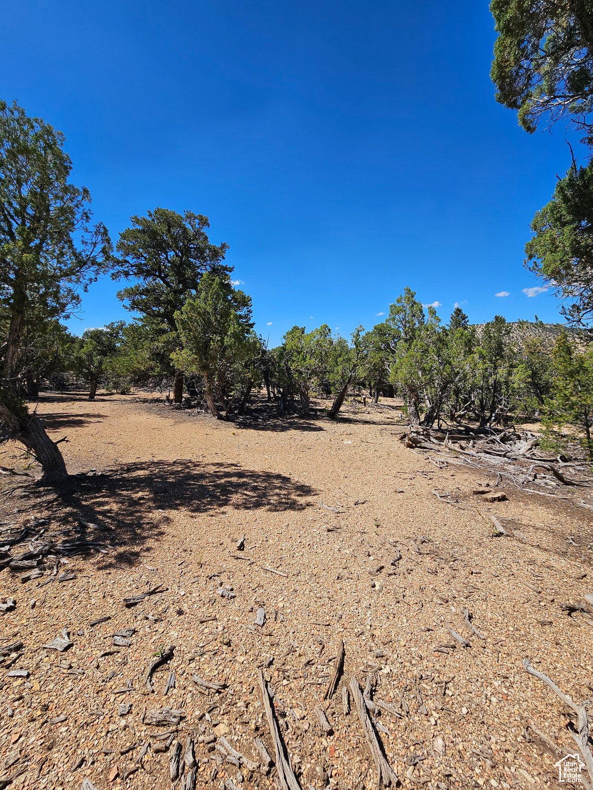 CEDAR MT - Land