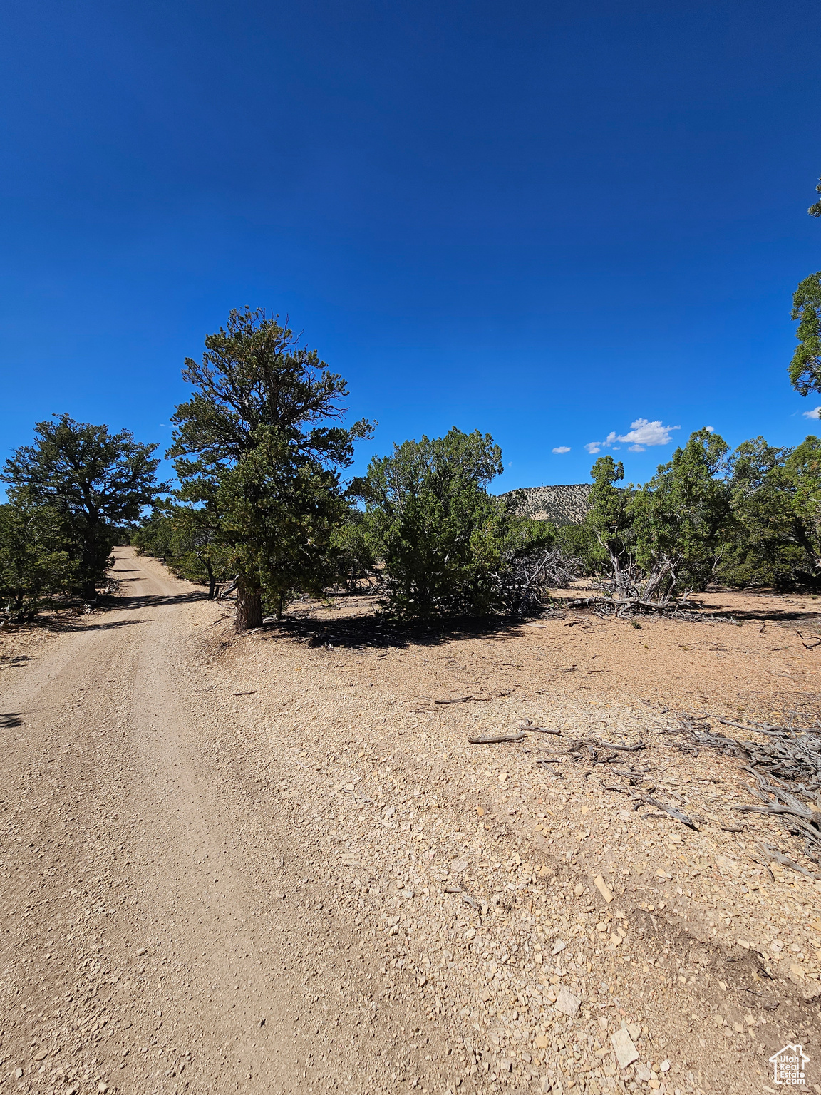 CEDAR MT - Land