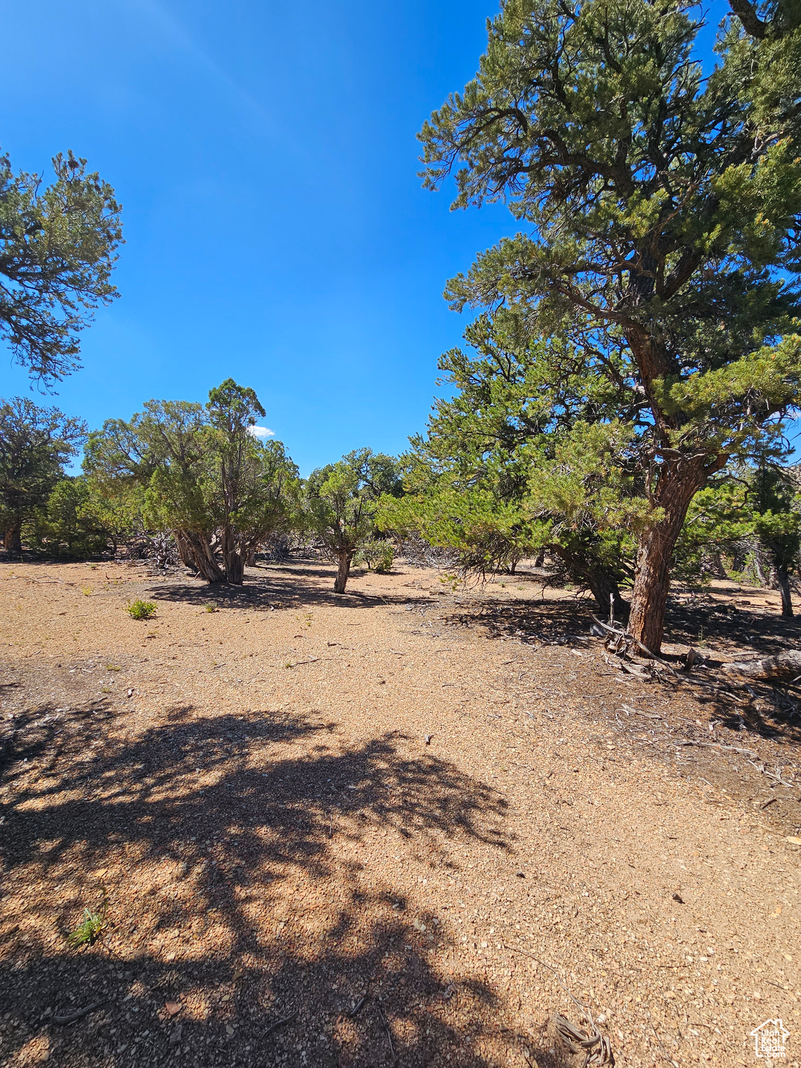 CEDAR MT - Land