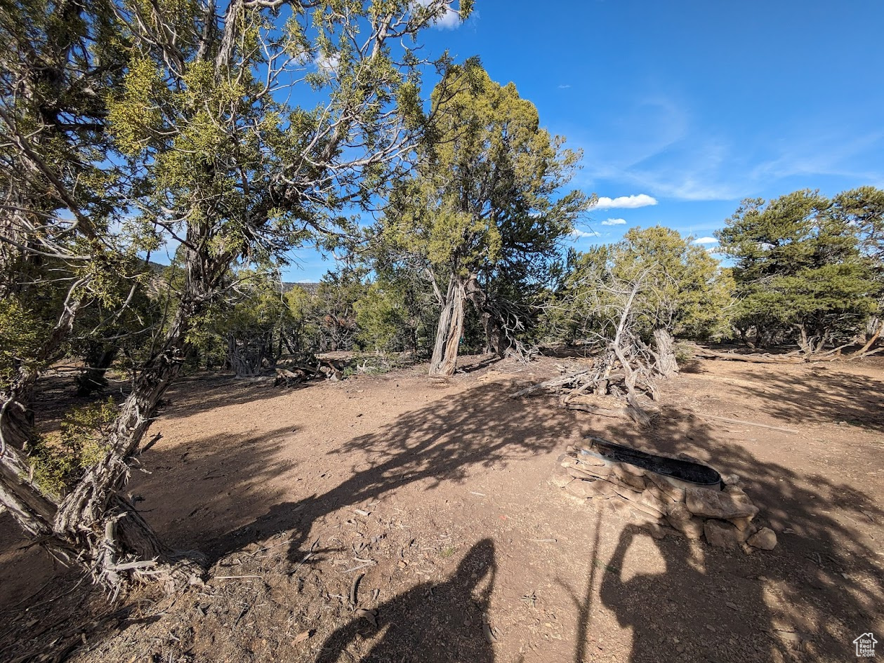 CEDAR MT - Land