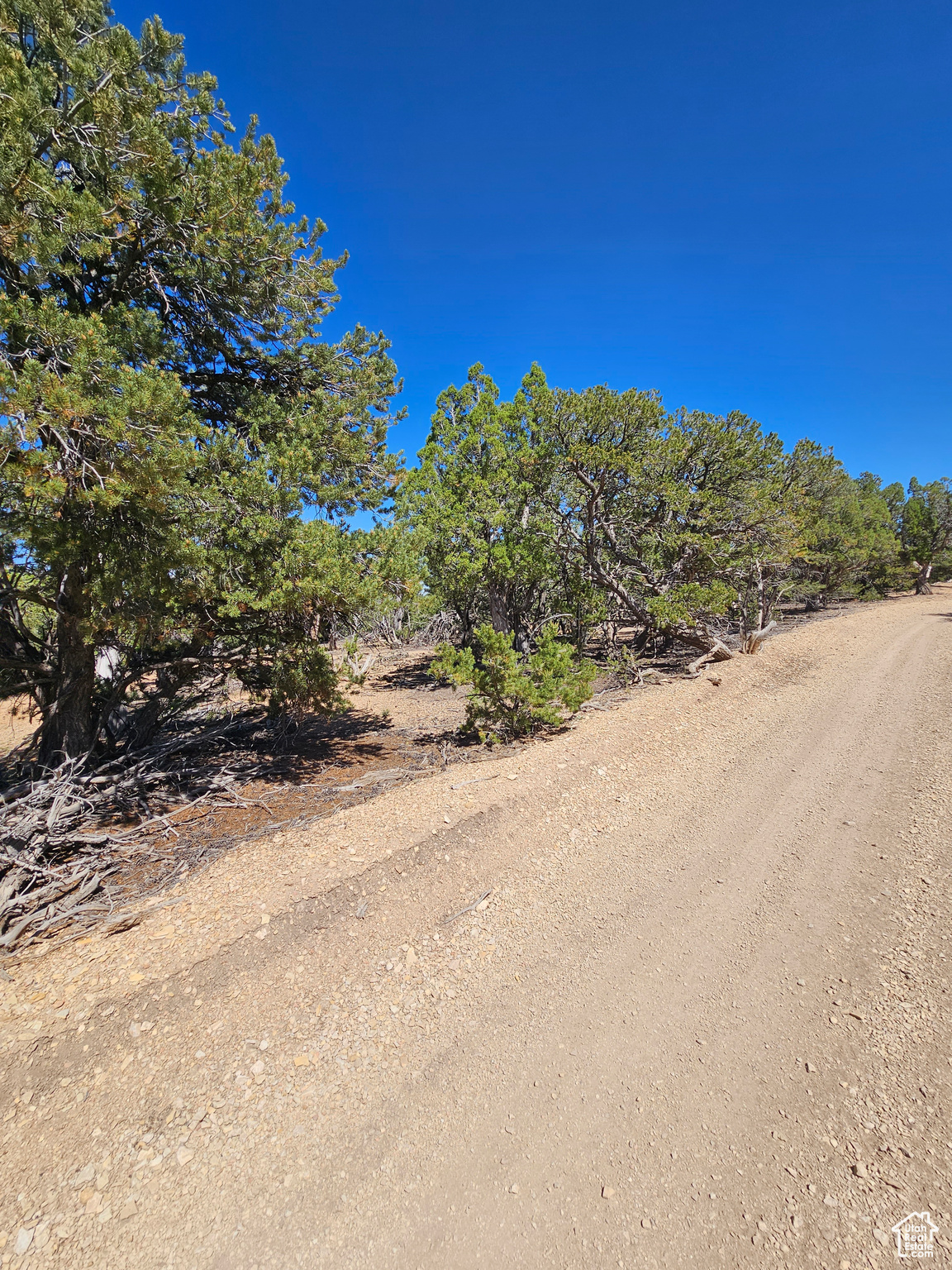 CEDAR MT - Land