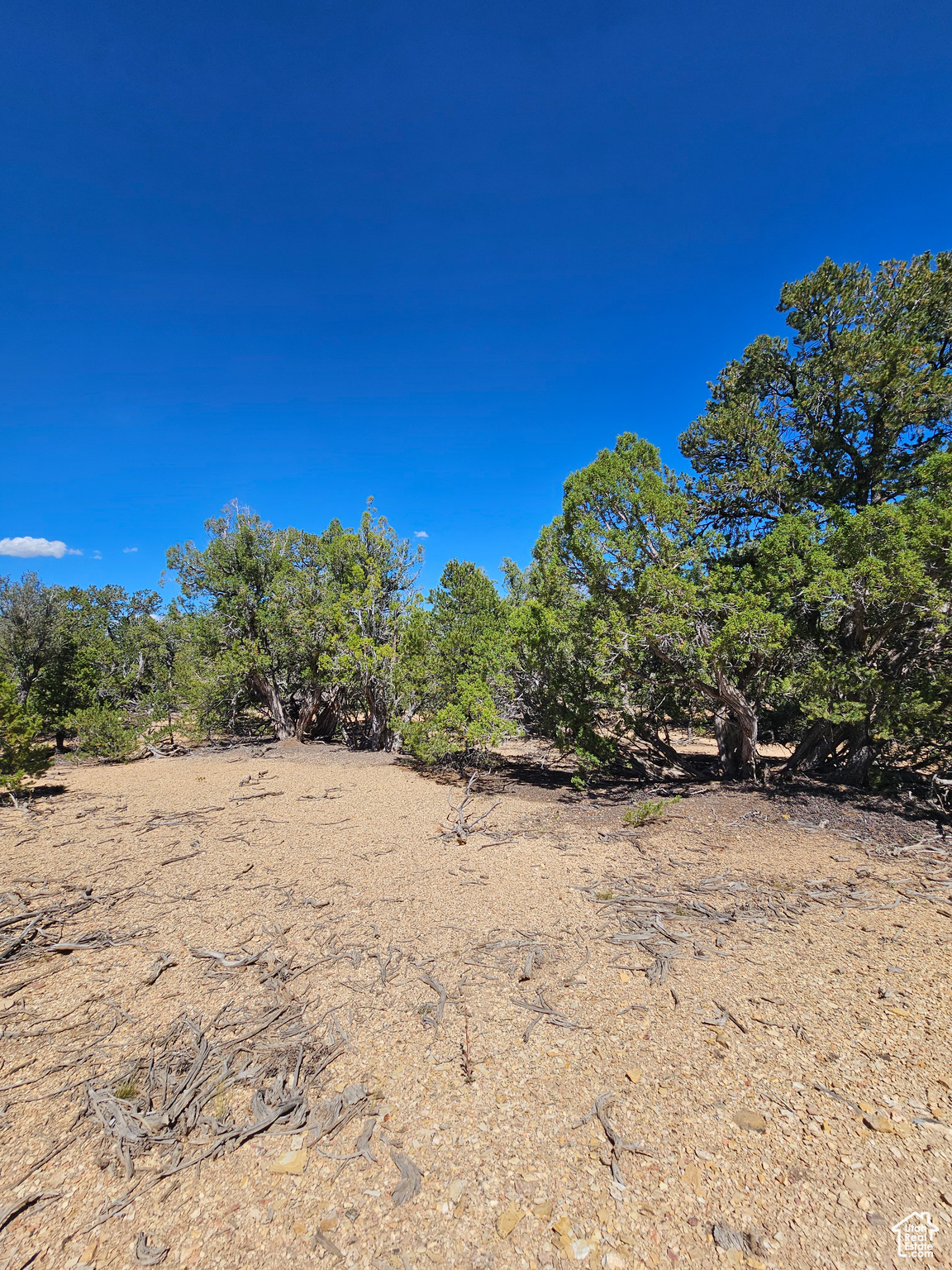 CEDAR MT - Land