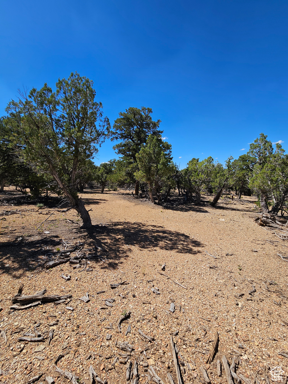CEDAR MT - Land