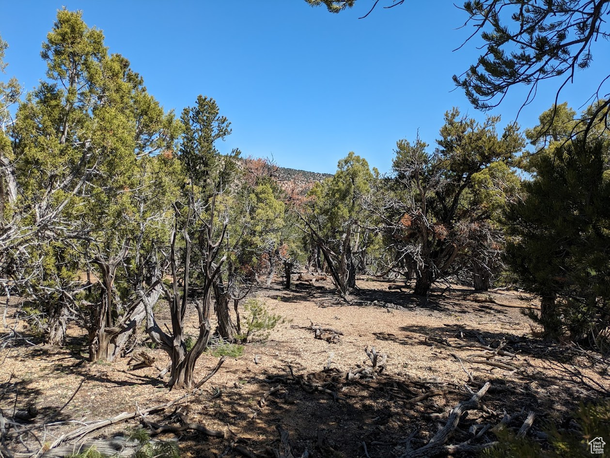 PRICE REDUCED!! * Breathtaking 10 Acres in the cedar mountains of Fruitland * Near the Strawberry Pinnacles - secluded & very quiet! Get outa the city and enjoy some peace! * Tons of Trees * This property has a lot of flat areas to park campers or build an off grid cabin * Camper included with the land! * No utilities - higher on the mountain with some steeper roads * Miles & miles of dirt roads for 4wheeling, dirt bikes, horseback riding etc * Deer, elk and moose frequent the area and views are just amazing from the top of the mountain!! * Seasonal access only or snow mobile in the winter!