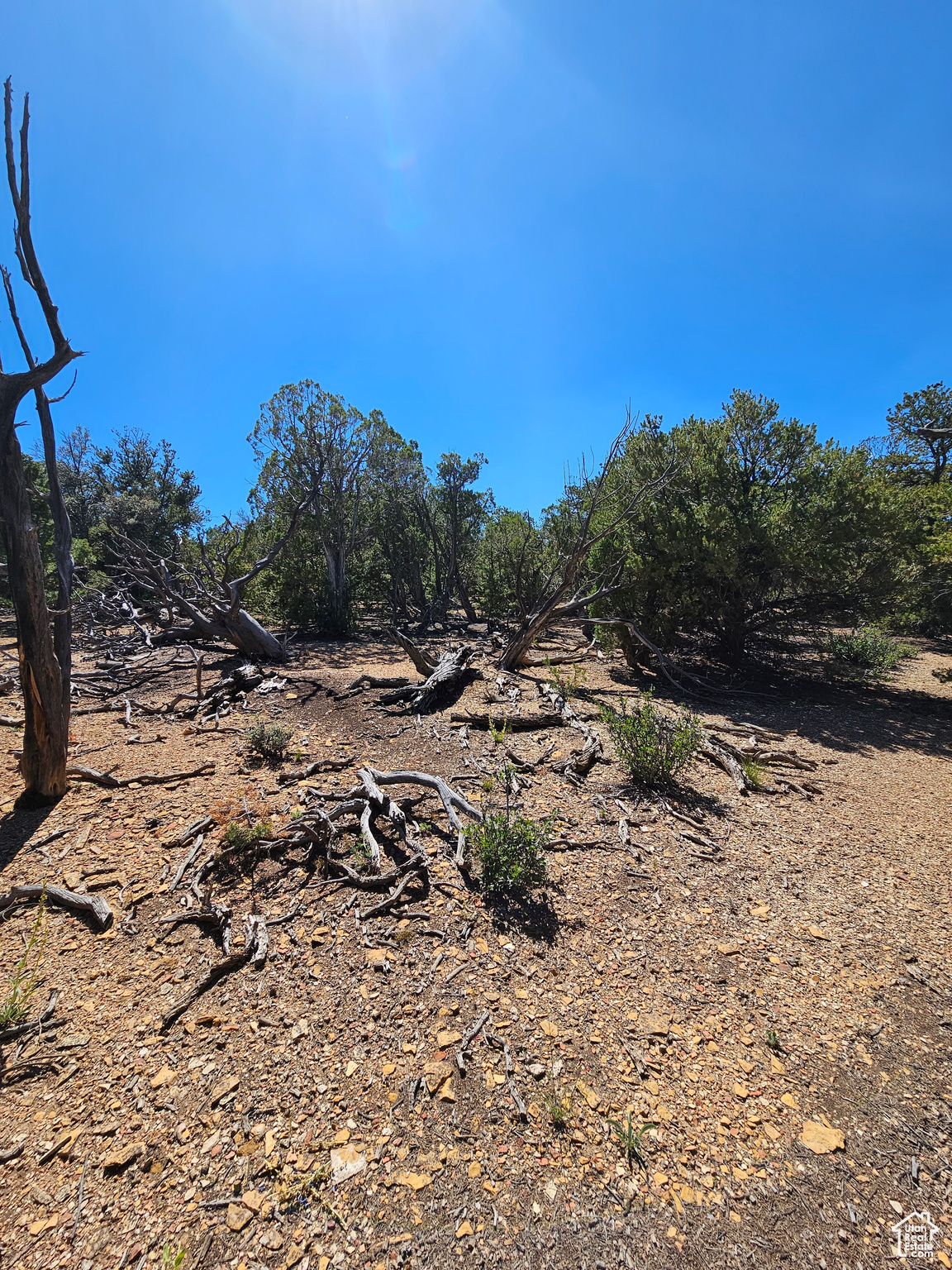 CEDAR MT - Land