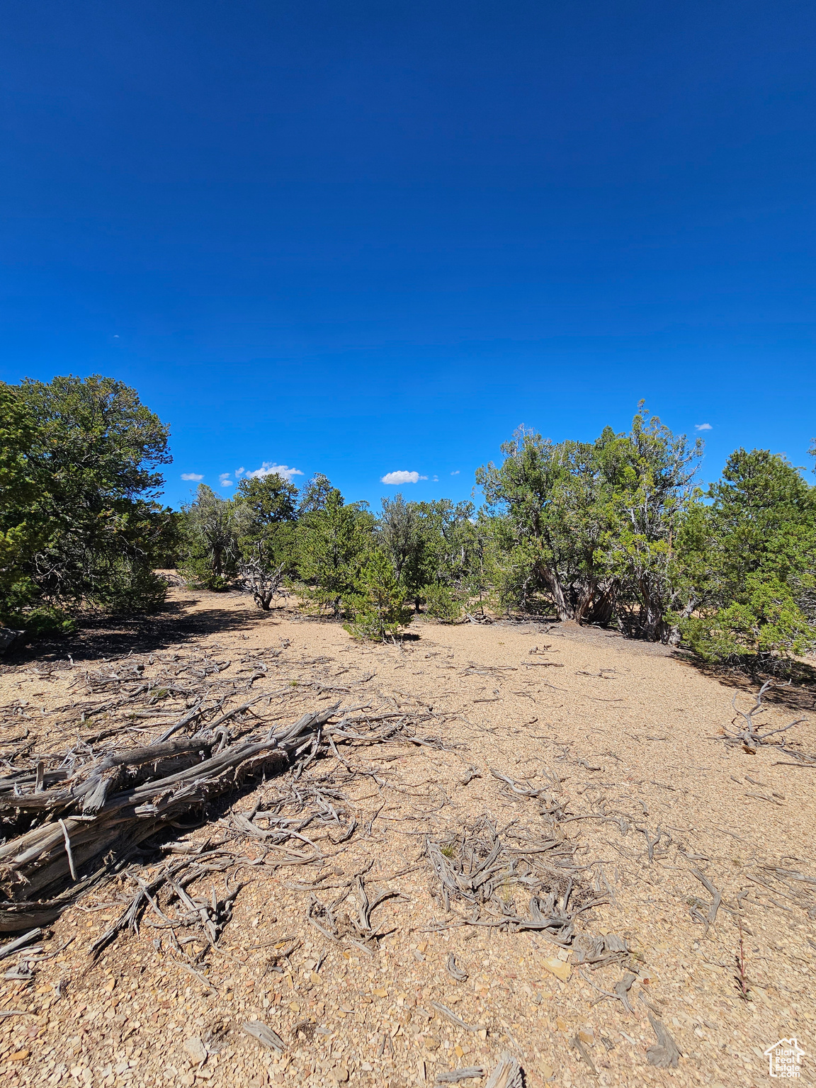 CEDAR MT - Land