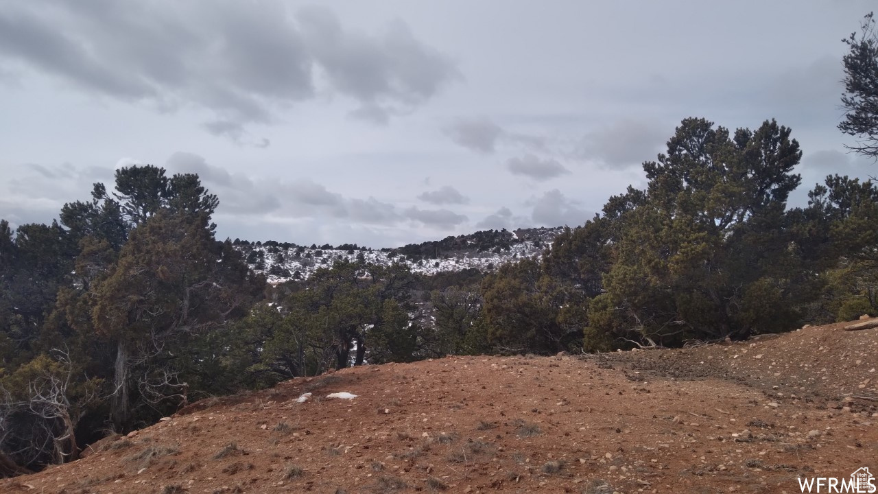 BANDANNA RANCH - Land