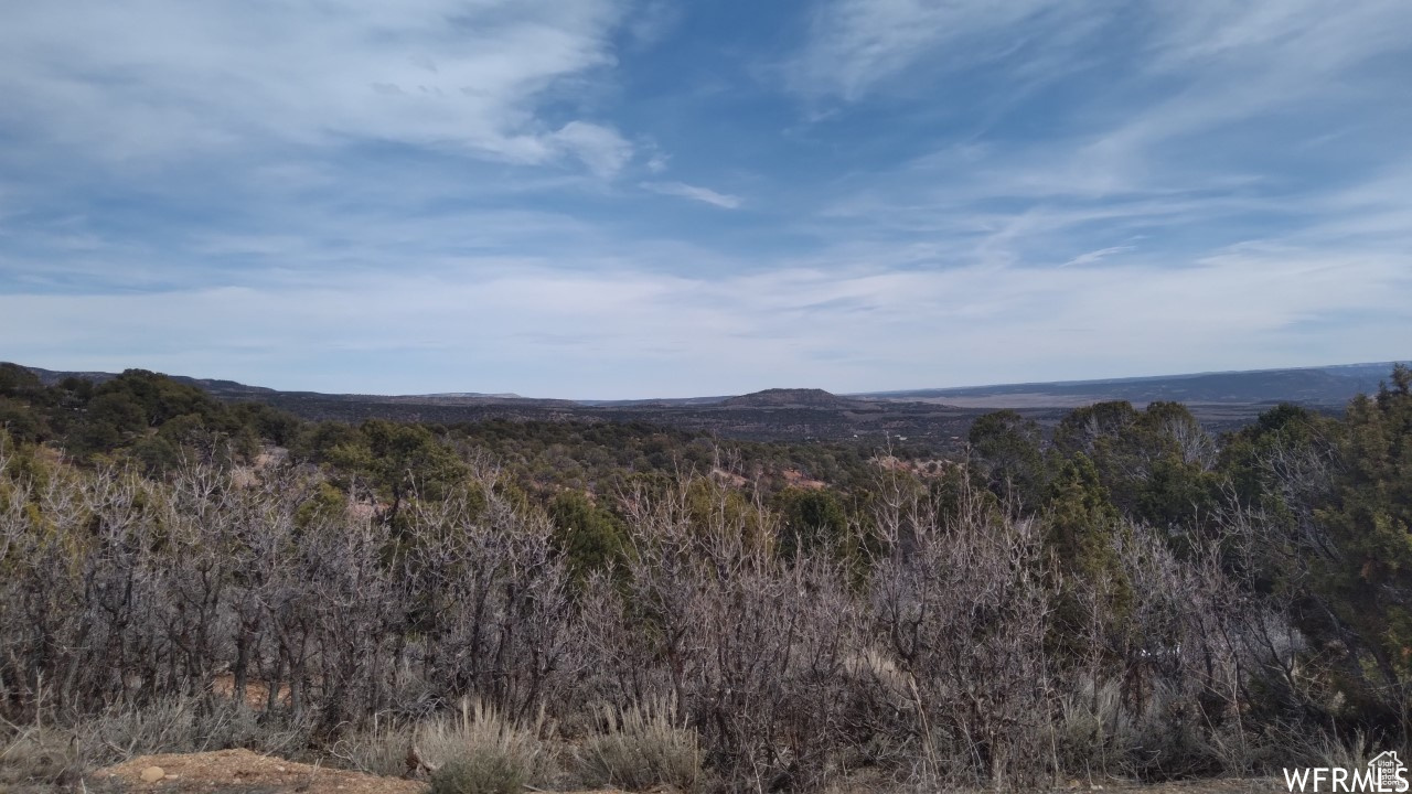 BANDANNA RANCH - Land