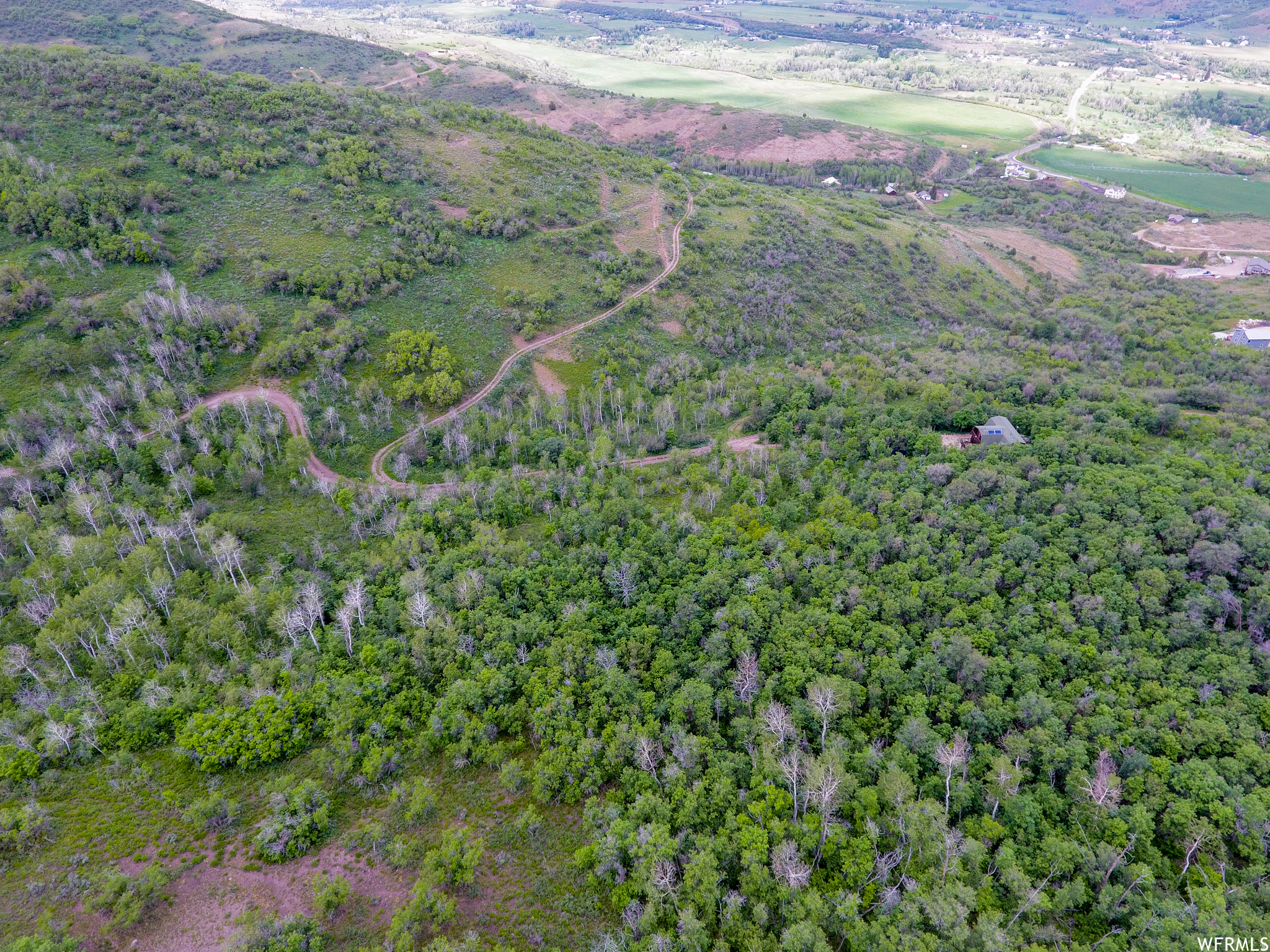 WOODLAND - Land
