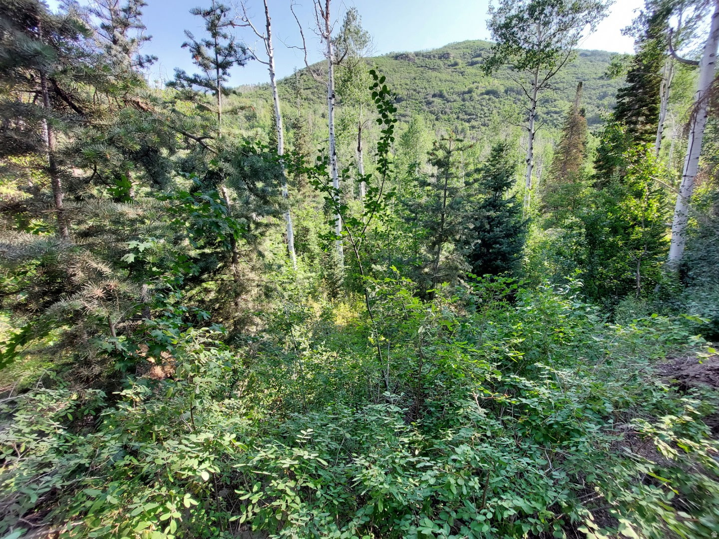ASPEN HILLS - Land