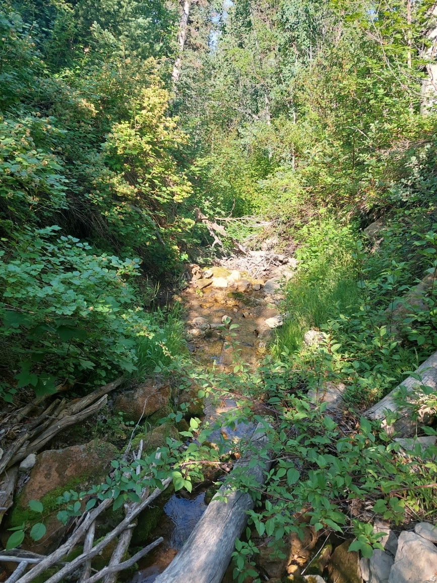 ASPEN HILLS - Land