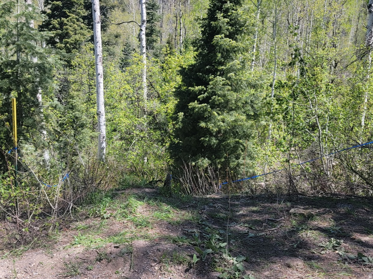 ASPEN HILLS - Land