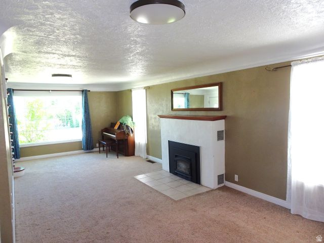 BURGOYNE ADDITION - Residential