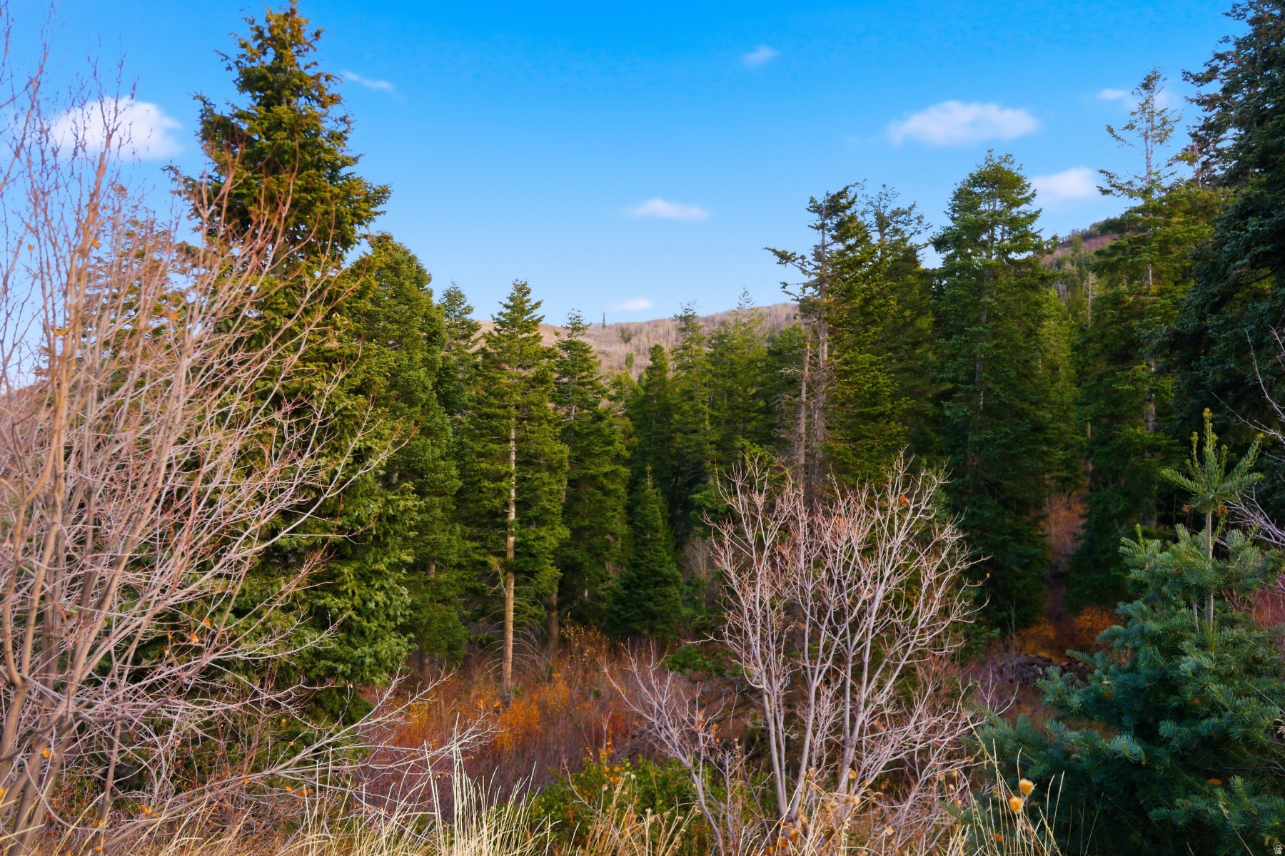 PINERIDGE SUBDIVISION - Land