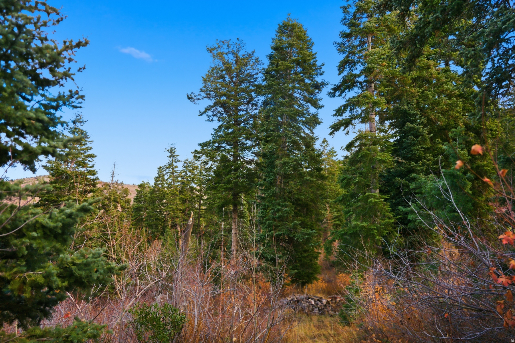 PINERIDGE SUBDIVISION - Land