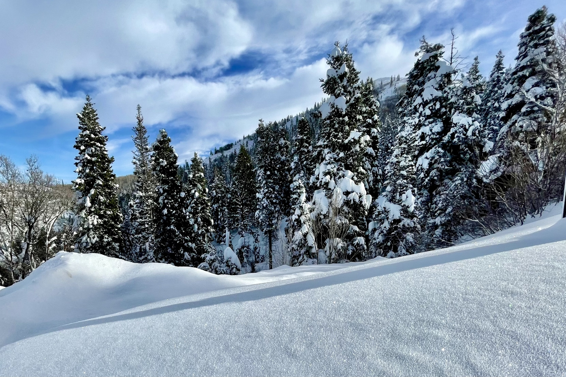 Set at the top of the Pineridge subdivision, this .89-acre homesite offers privacy, elevation, and direct access to open public space. Midmountain trail is steps away for easy hiking and biking access to all of Park City. The lot is naturally sloped, creating opportunities for a thoughtful downhill design. Two potential driveway approaches allow flexibility for site planning and access. Architectural plans and a recent survey are included, saving time and providing a strong starting point for your build. A rare combination of seclusion, setting, and practical readiness in one of the area's most established mountain neighborhoods.