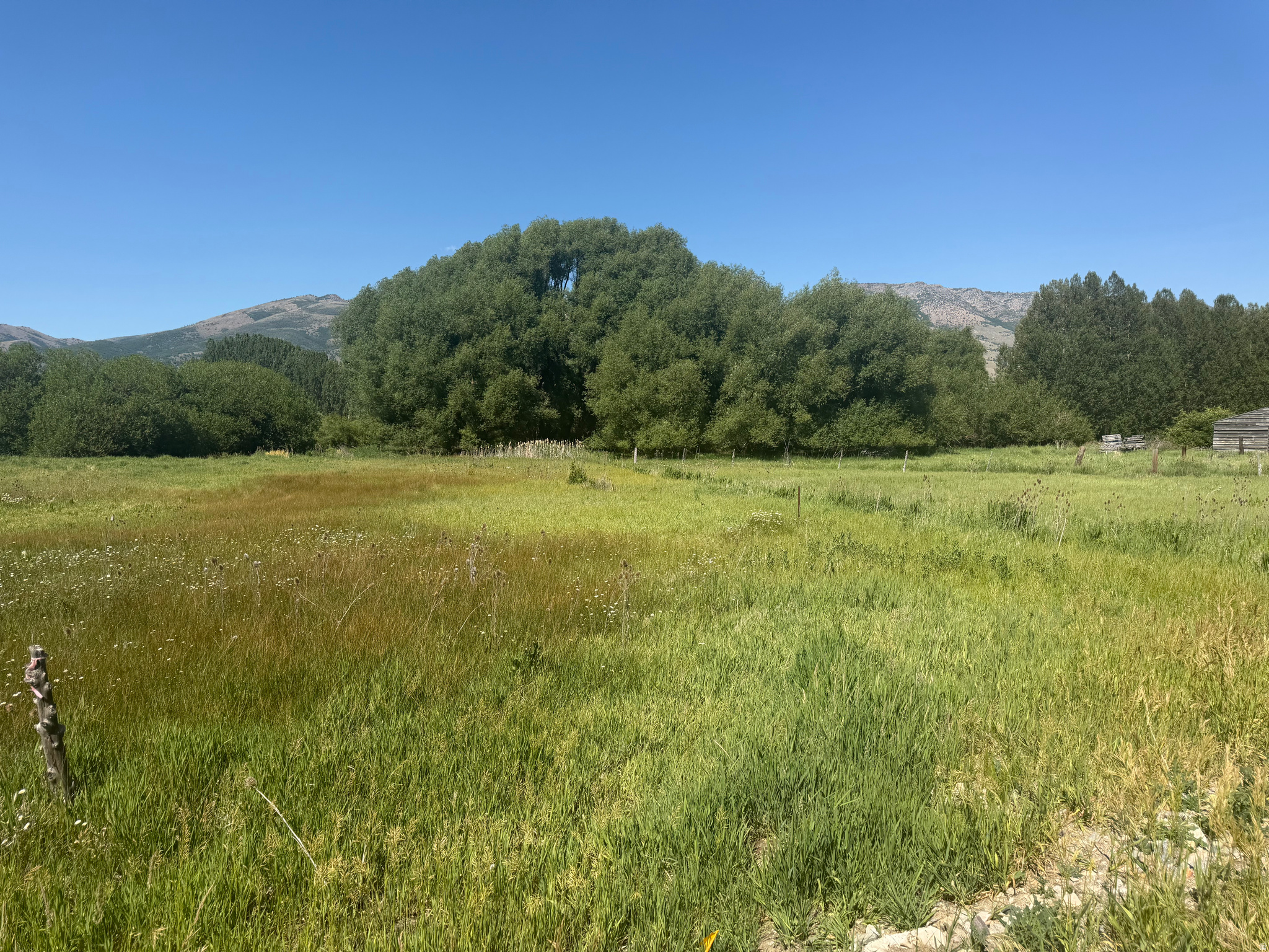 PAINTER SUBDIVISION - Land
