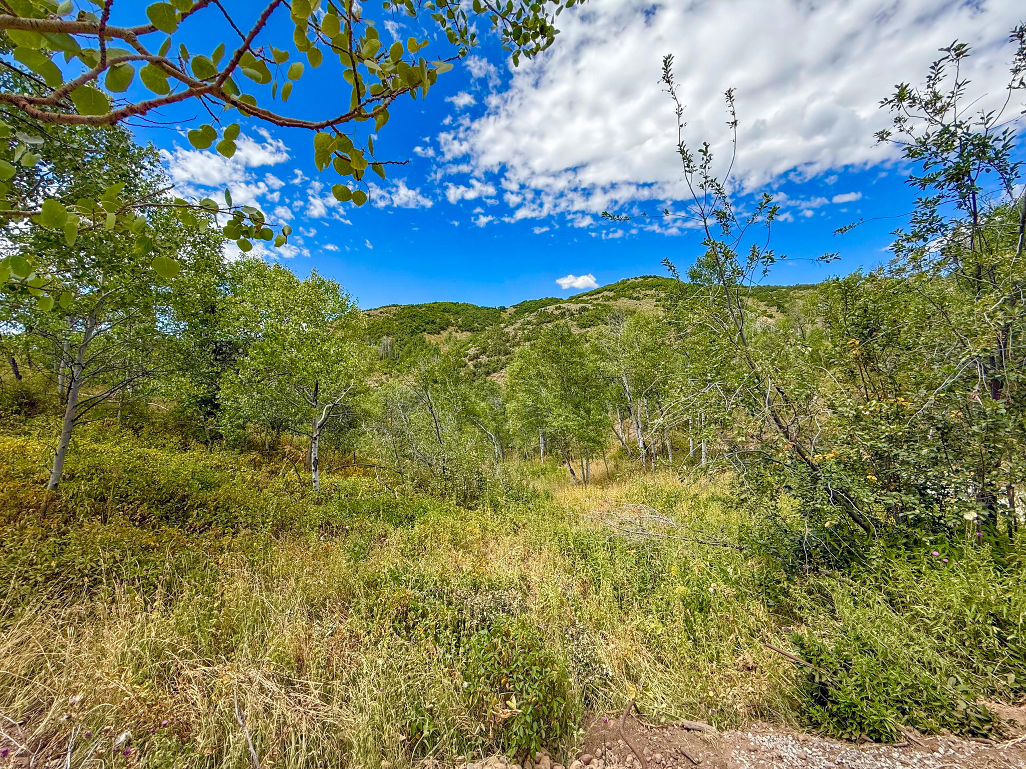 NORTH SUMMIT - Residential