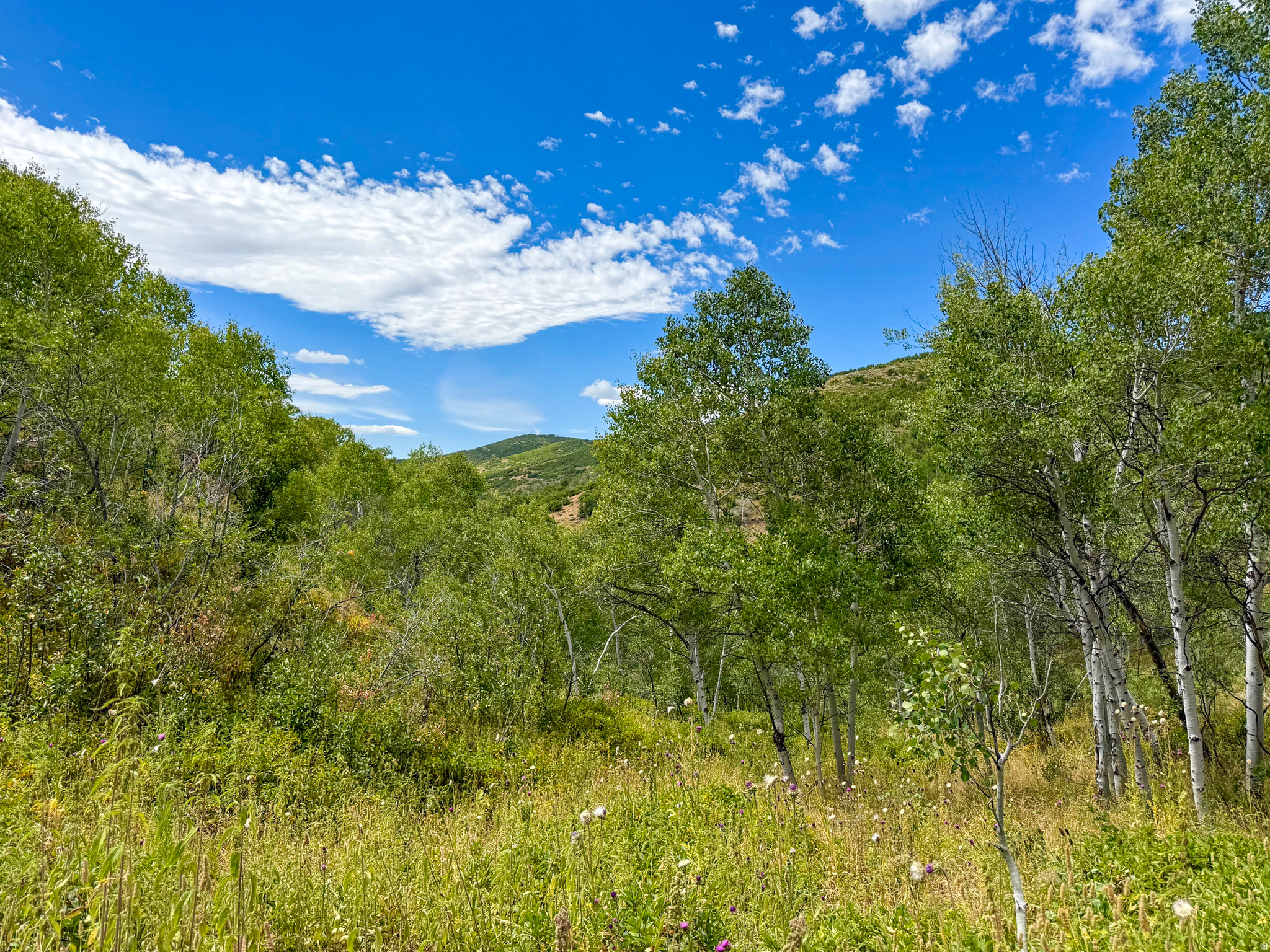 NORTH SUMMIT - Residential