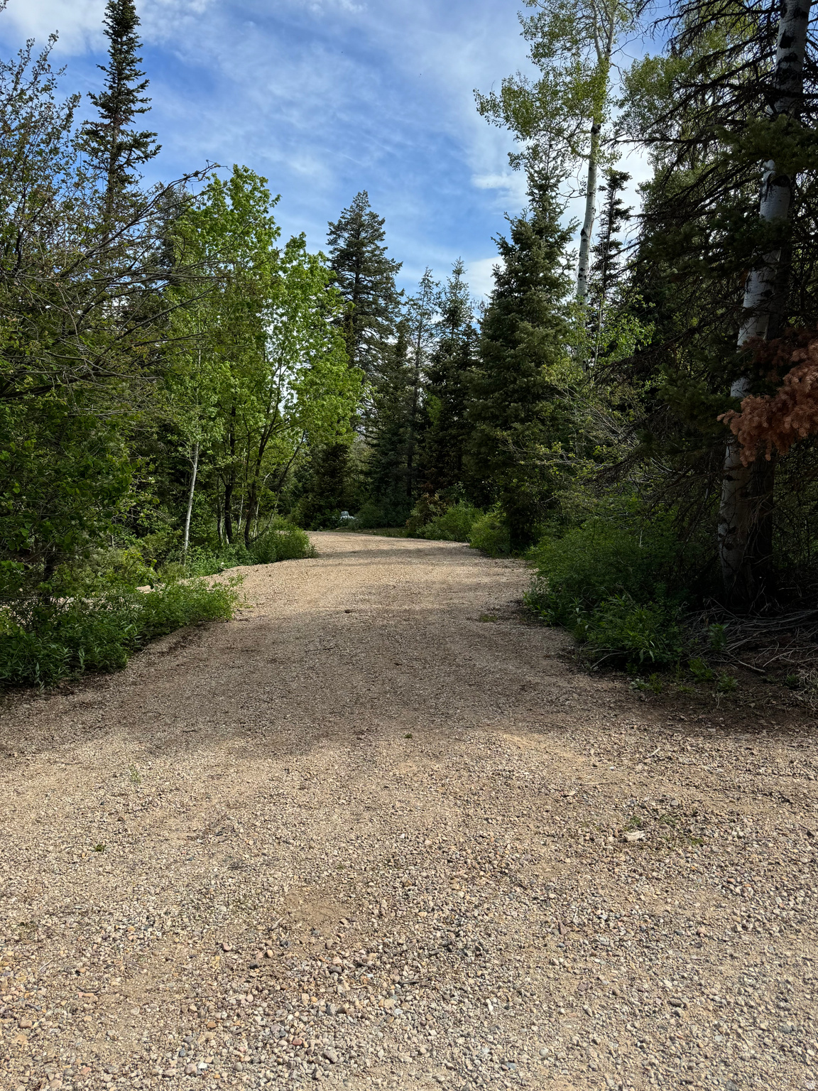 CAUSEY ESTATES - Residential