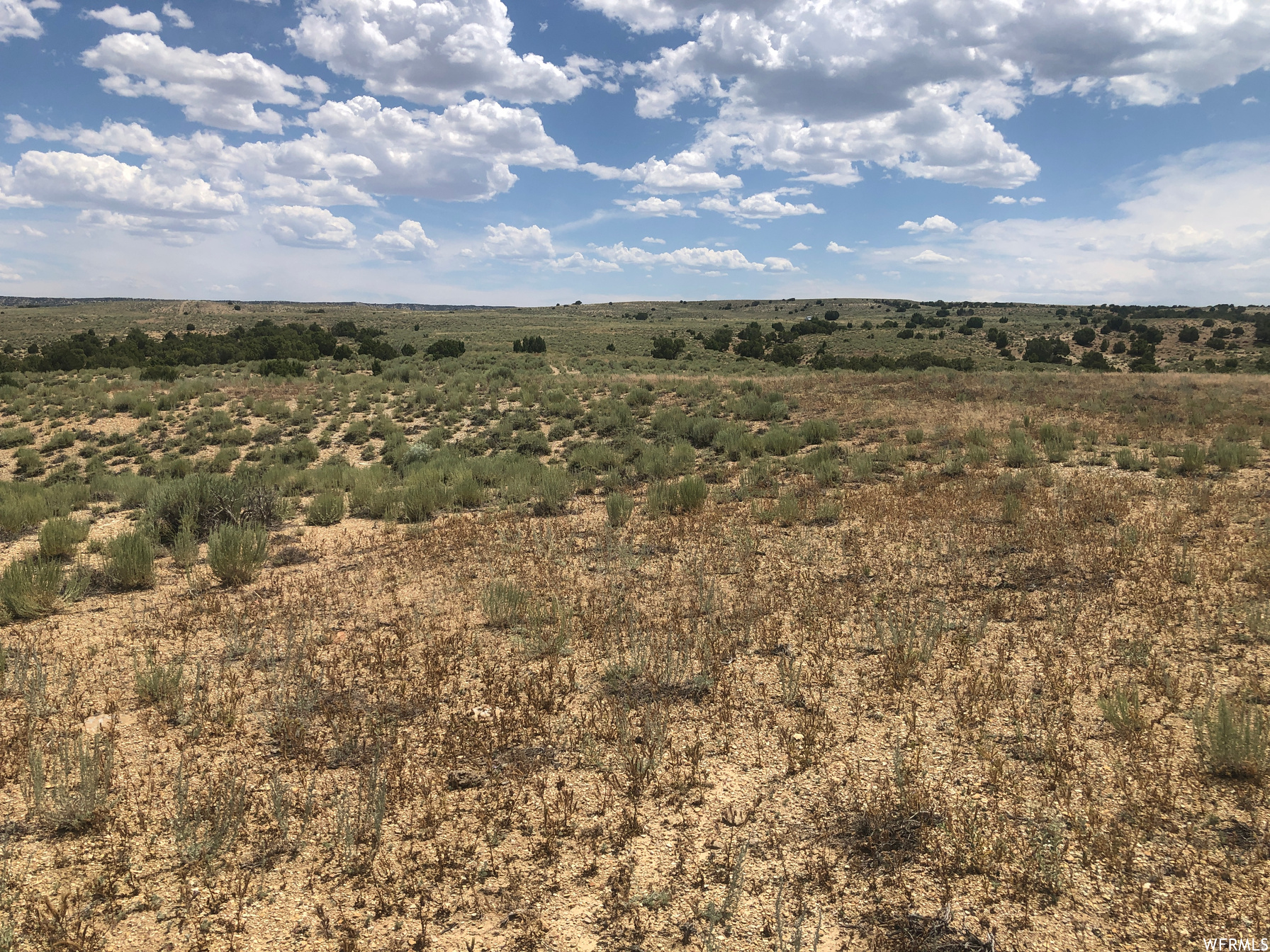 Excellent recreational property in the Moondance Ranch subdivision. This very interesting topography includes several washes, hills, and several flat-view areas to build on. Easy access from Deer Trail LN. An additional connecting 40+ acre parcel can be purchased separately for $65,000 or purchase both parcels for a reduced price. Seller Financing is available with a sizeable down contact the listing agent for details.