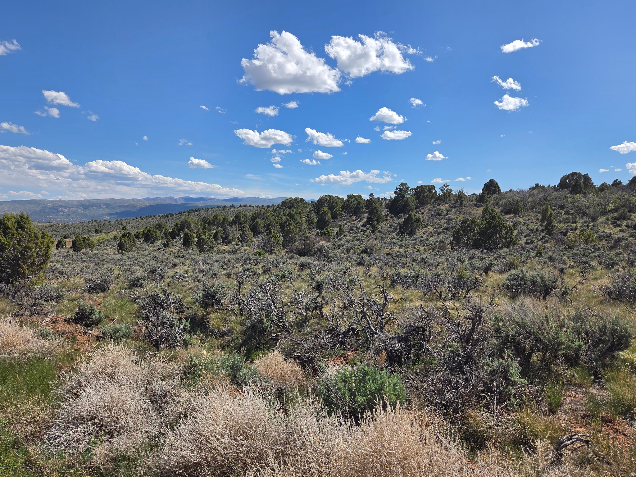 OAK HILLS RANCH - Land