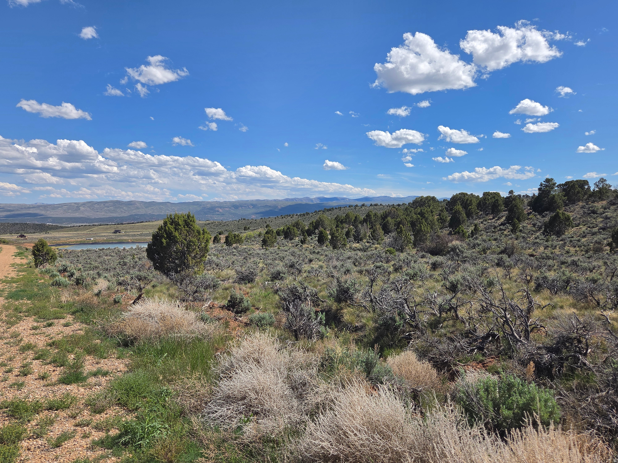 OAK HILLS RANCH - Land