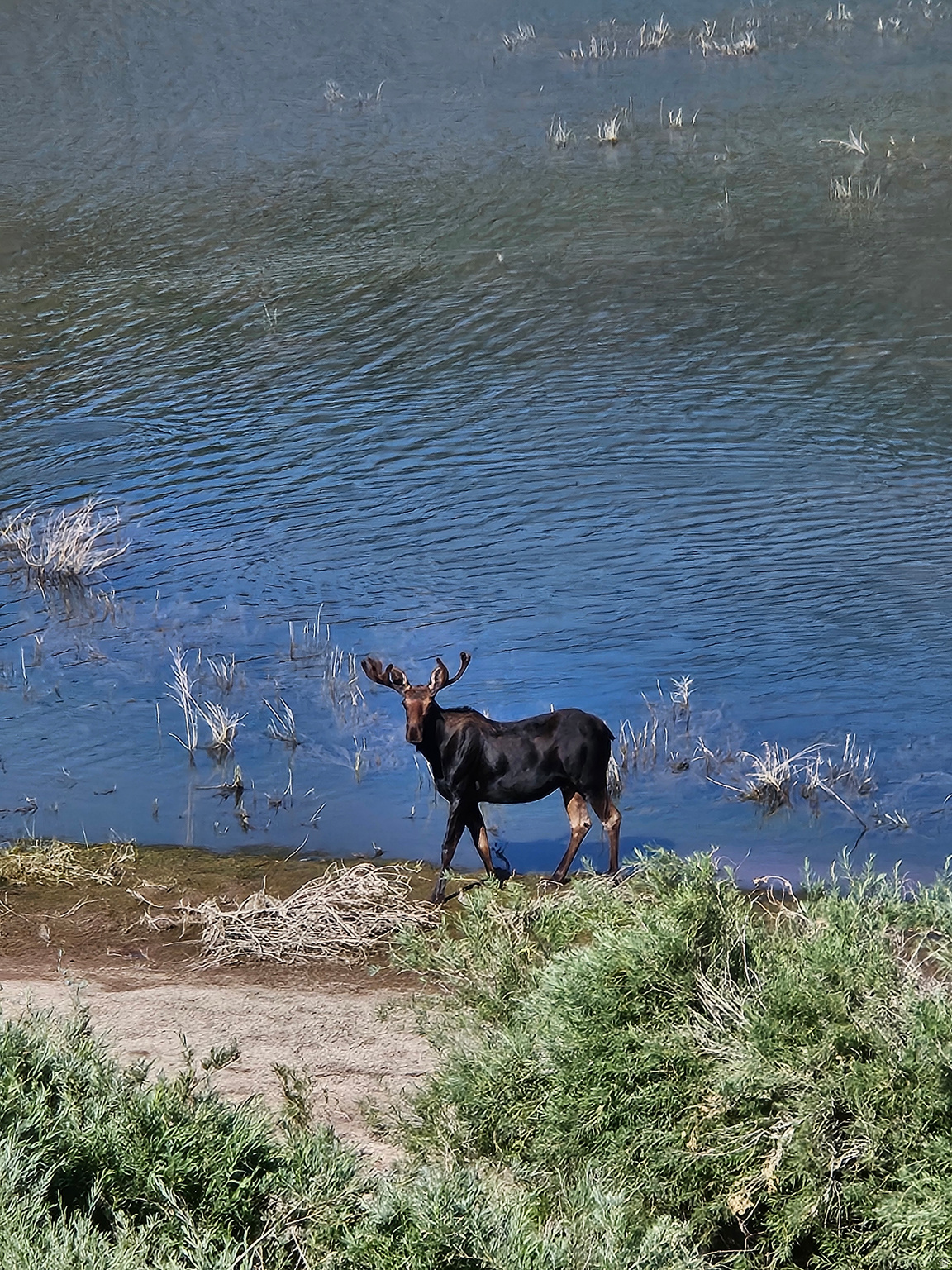 OAK HILLS RANCH - Land