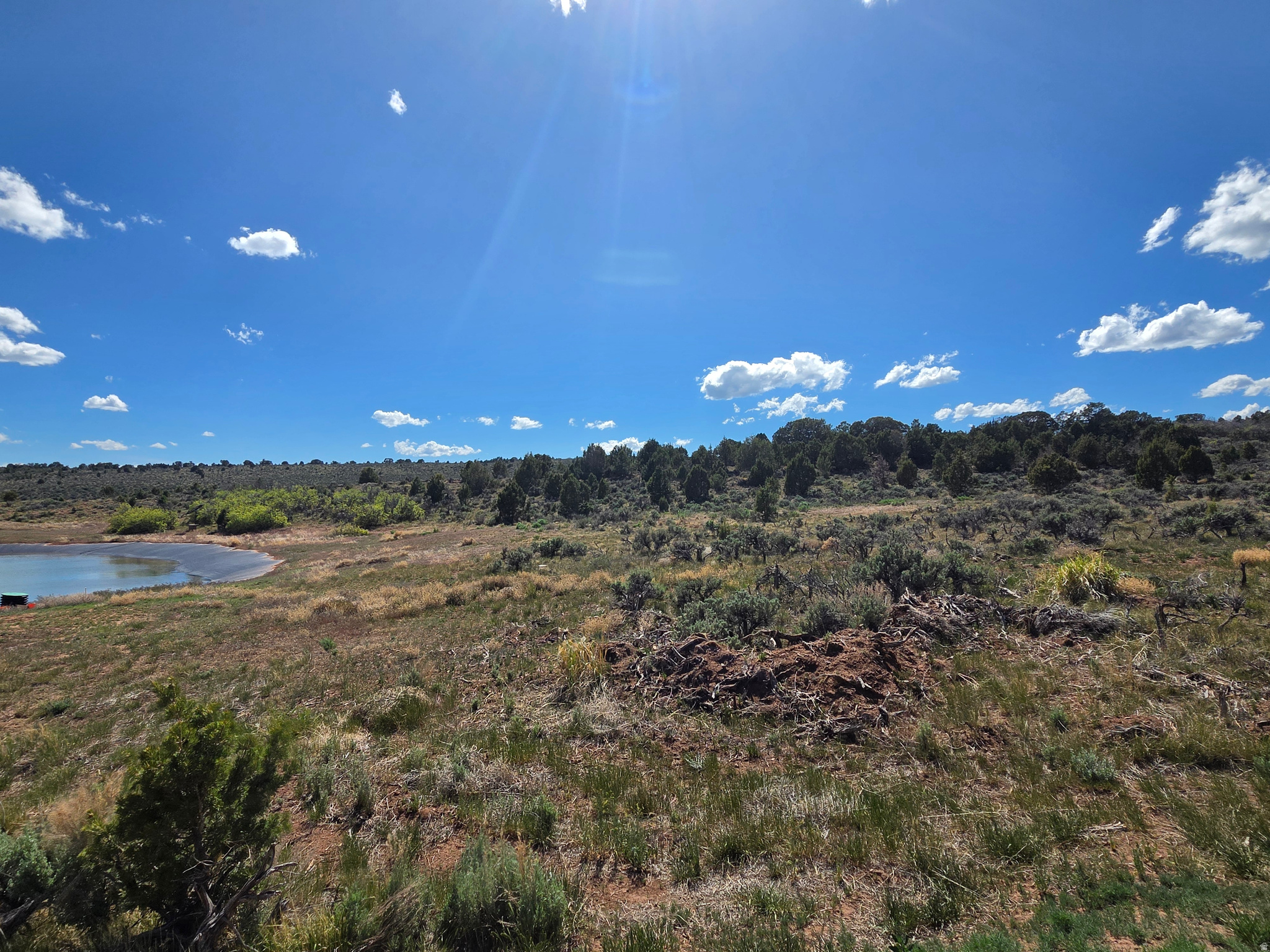 OAK HILLS RANCH - Land