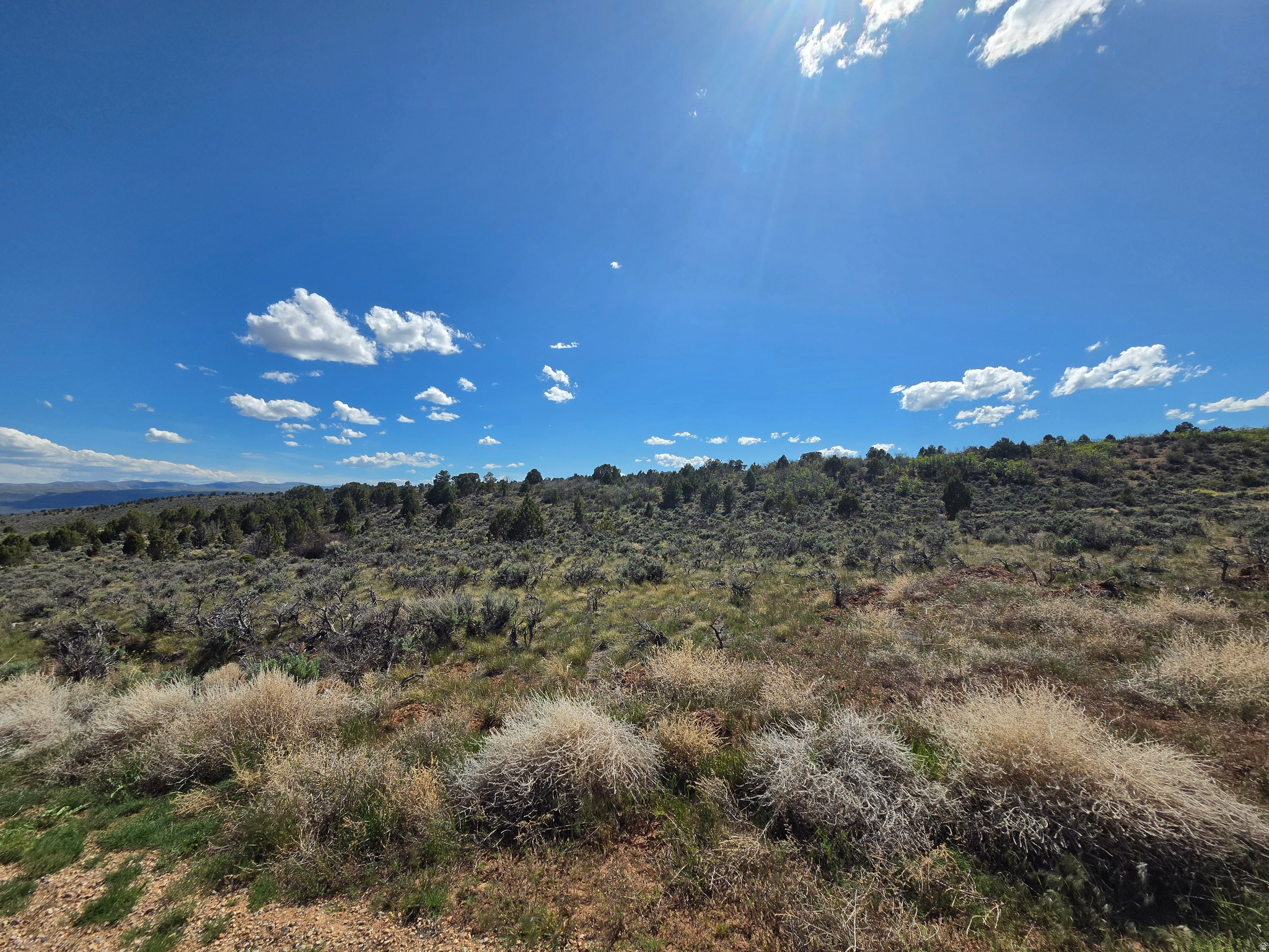 OAK HILLS RANCH - Land