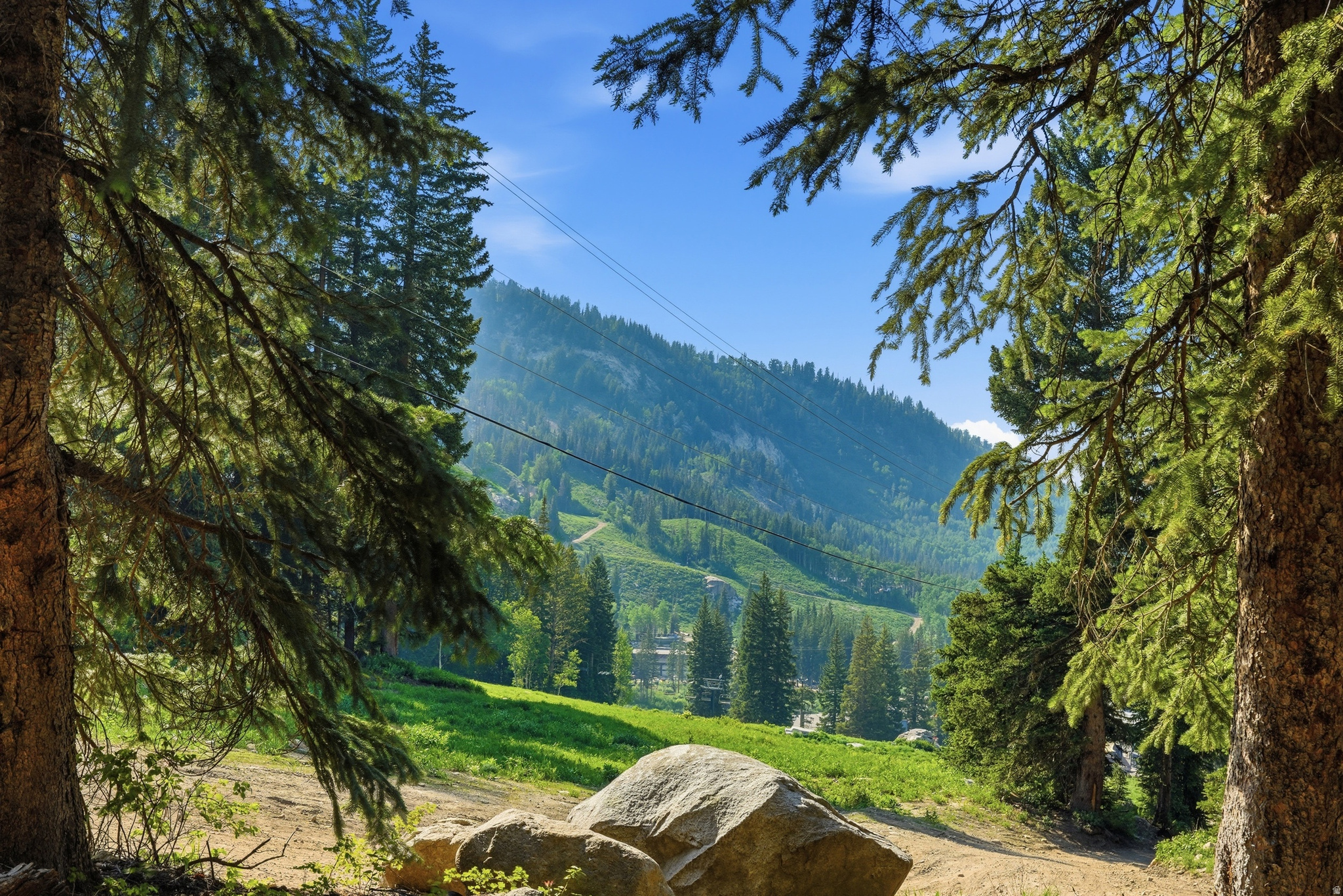 COTTONWOOD M - Residential