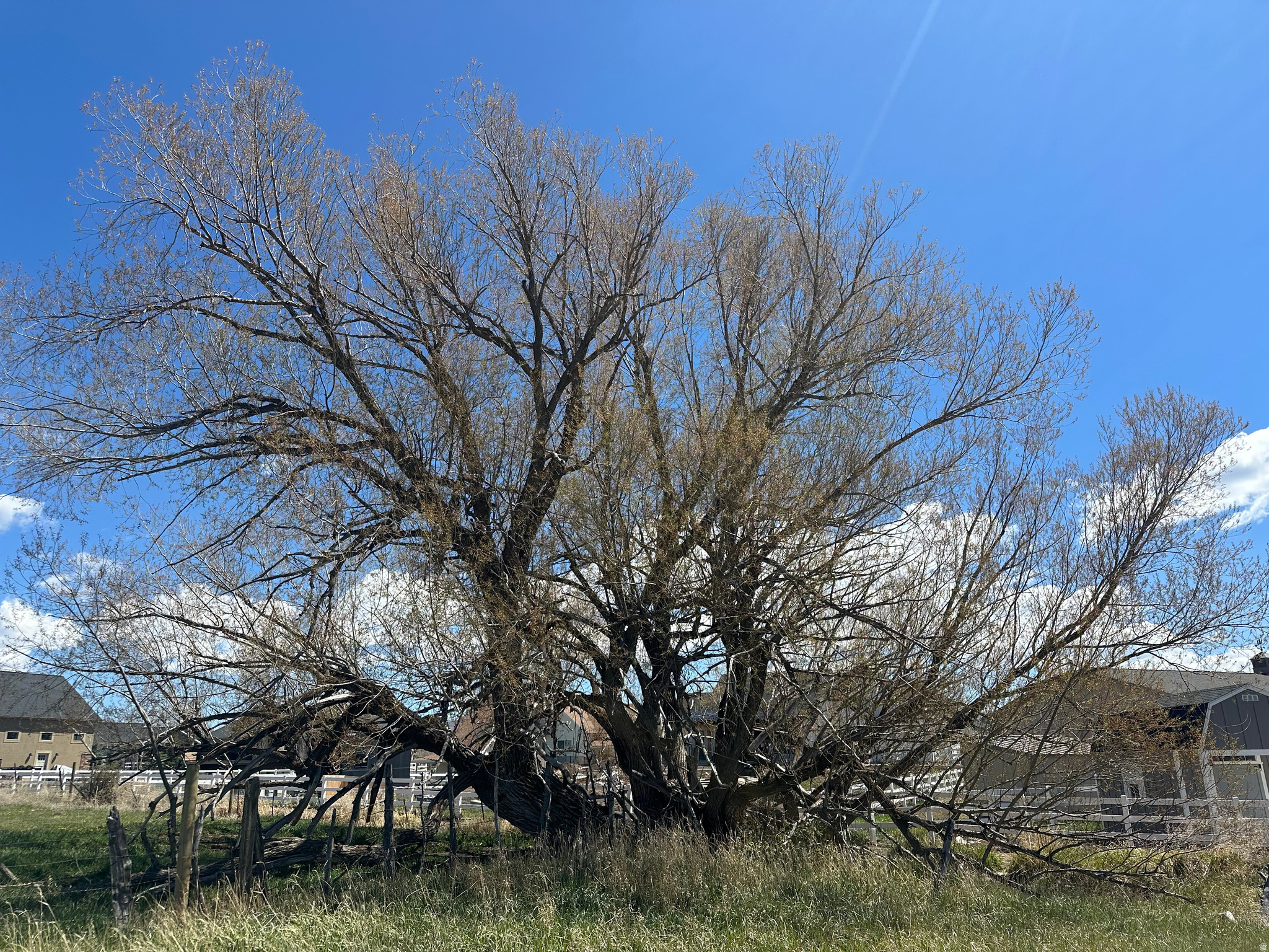 WILD WILLOW SUB - Land