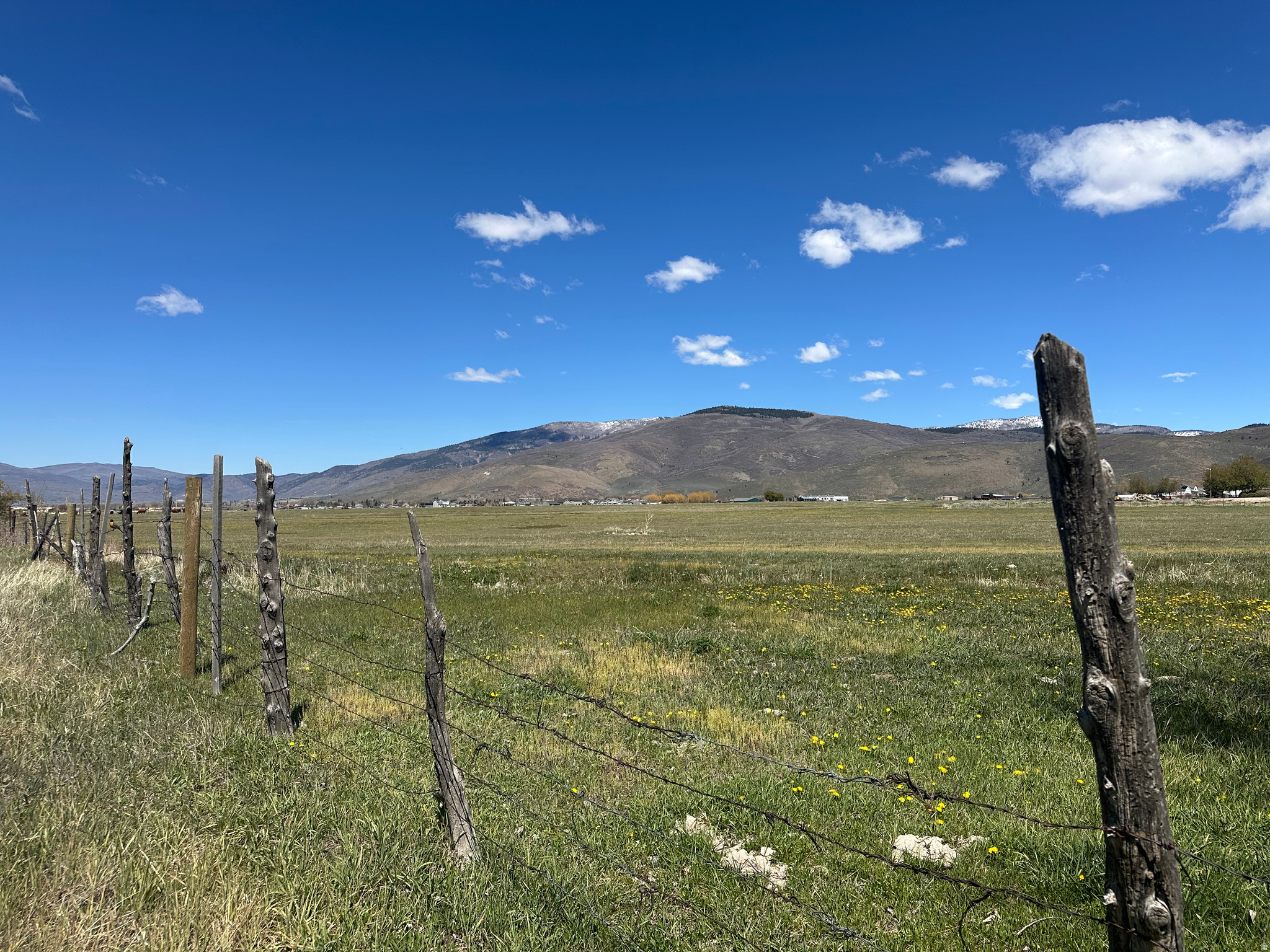 WILD WILLOW SUB - Land