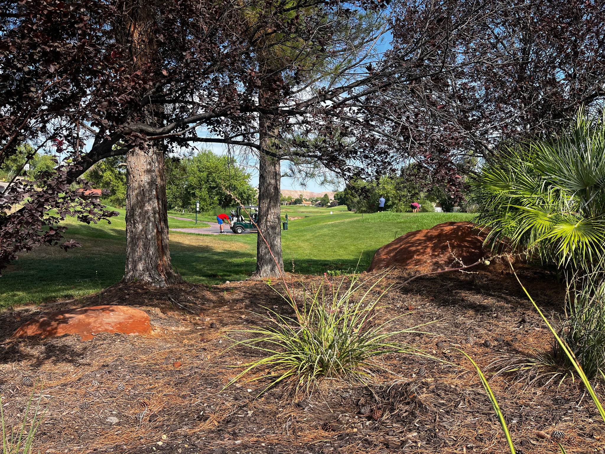 CRYSTAL LAKES TOWHOMES - Residential