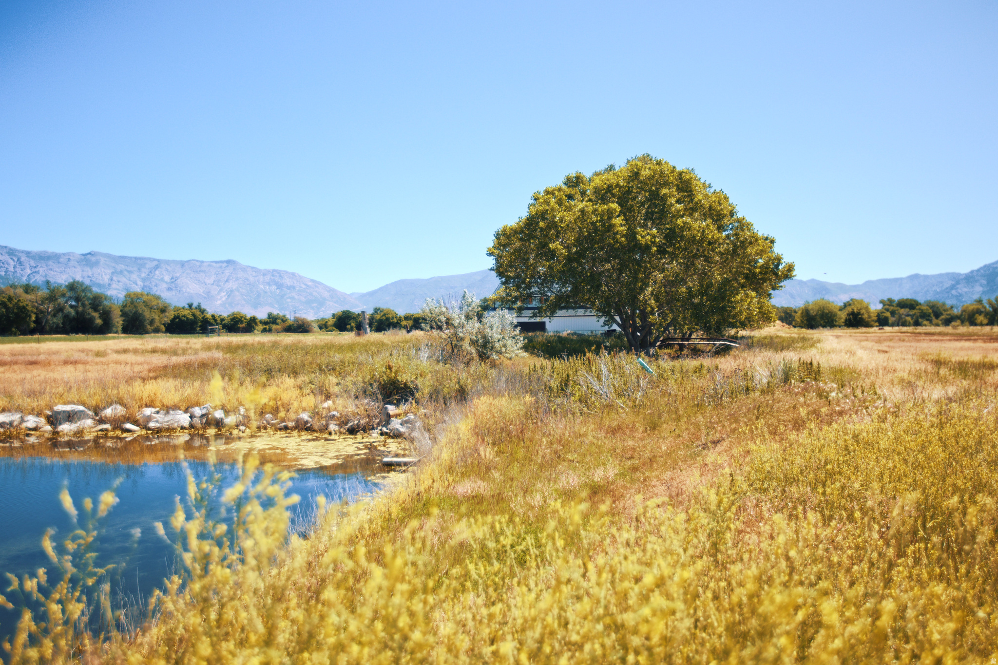 LUXURY AT THE LEGENDS - Land