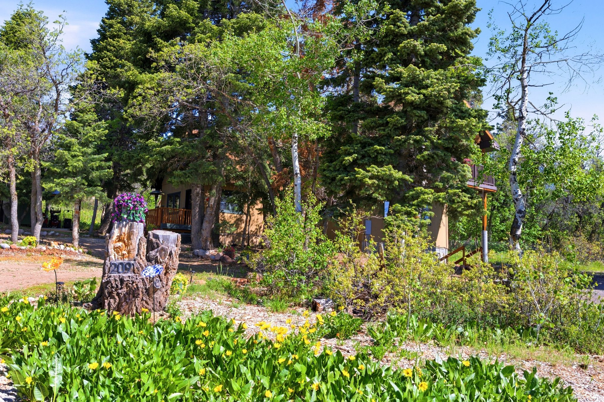 FOREST MEADOW RANCH - Residential