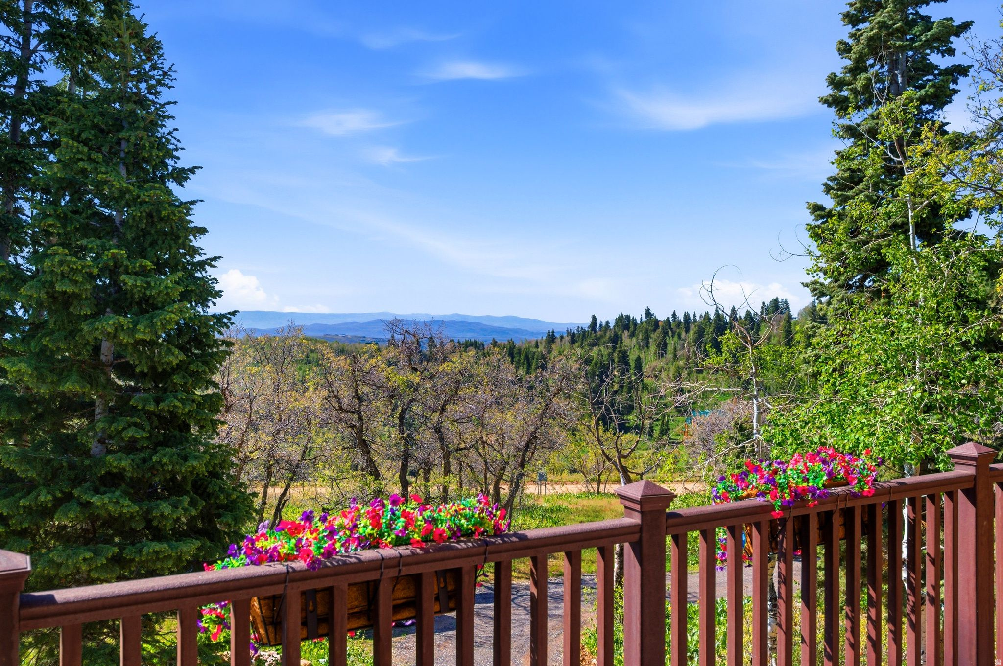 FOREST MEADOW RANCH - Residential