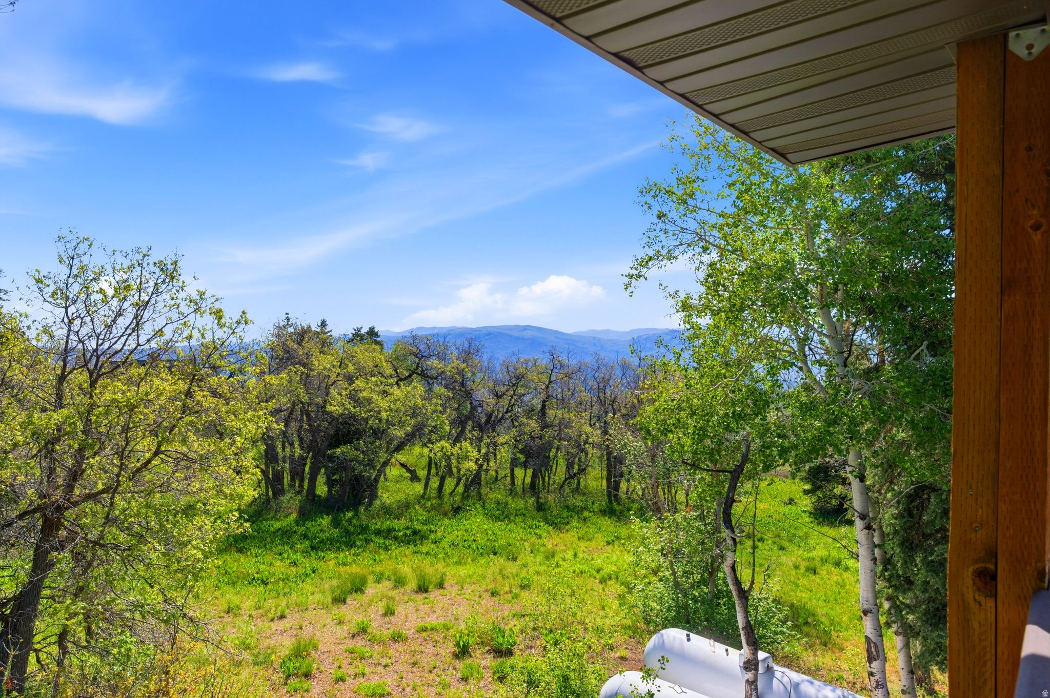 FOREST MEADOW RANCH - Residential