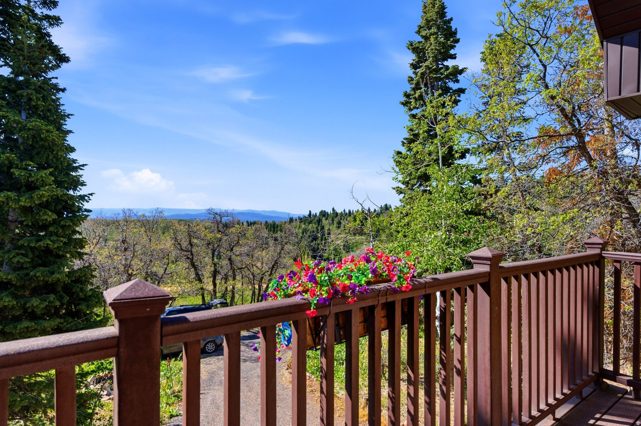 FOREST MEADOW RANCH - Residential