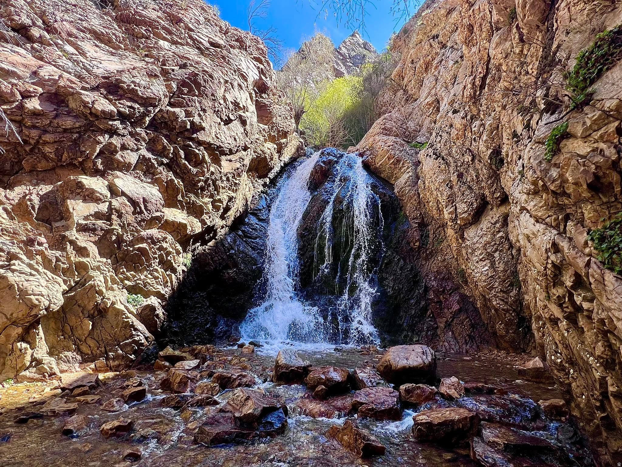 CANYON COVE - Residential