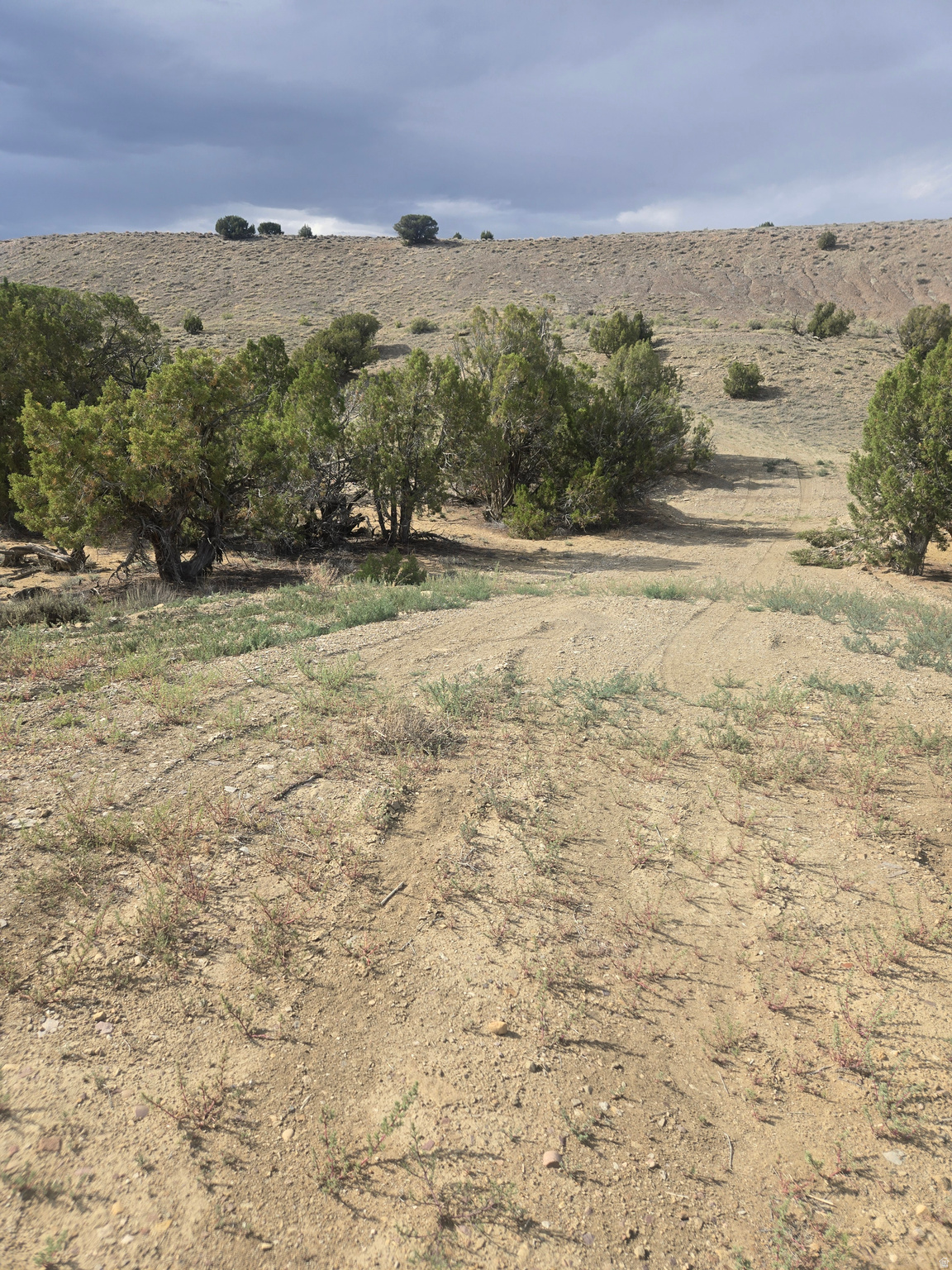 DUCHESNE MINI RANCHES - Land