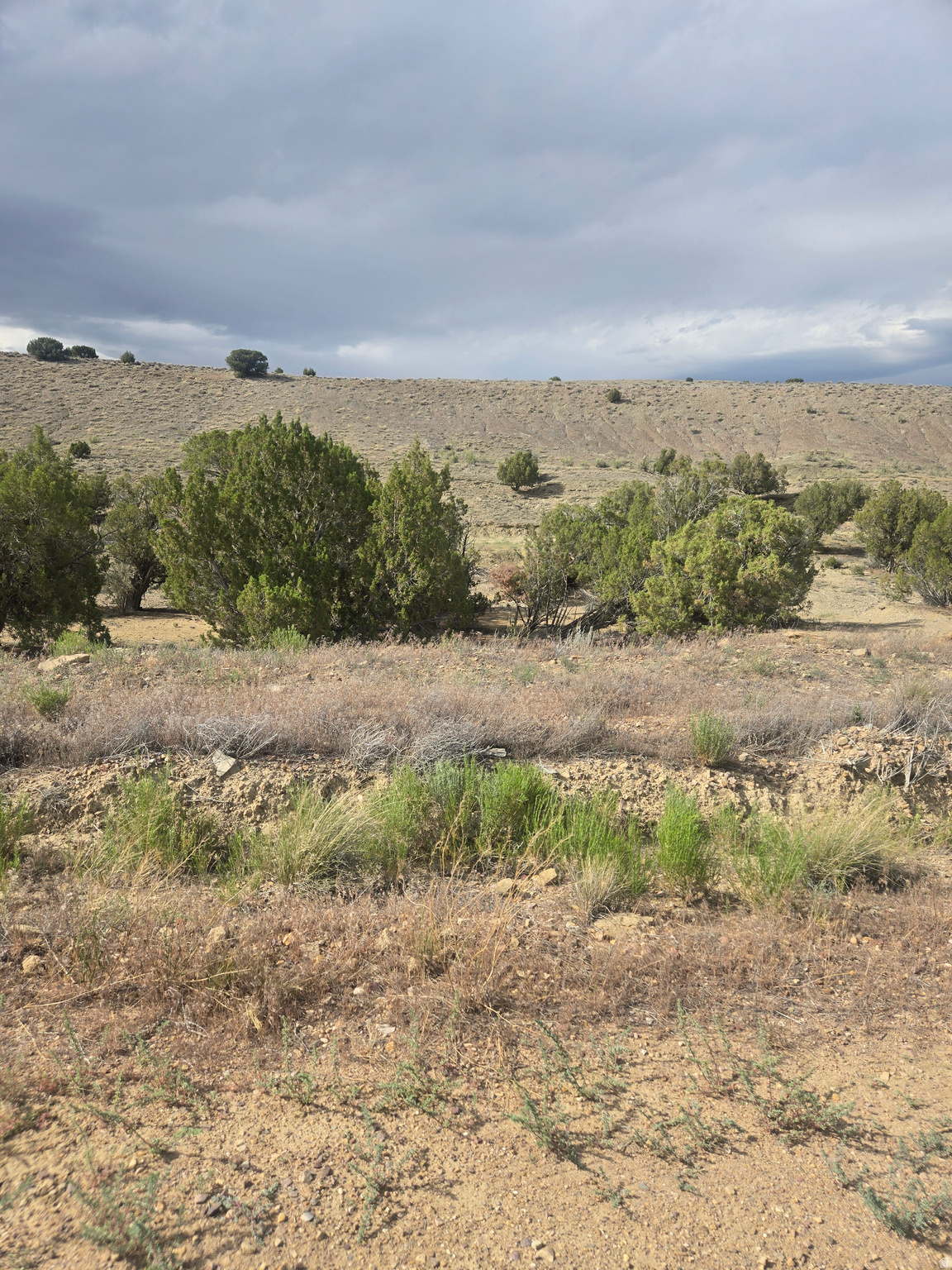 DUCHESNE MINI RANCHES - Land